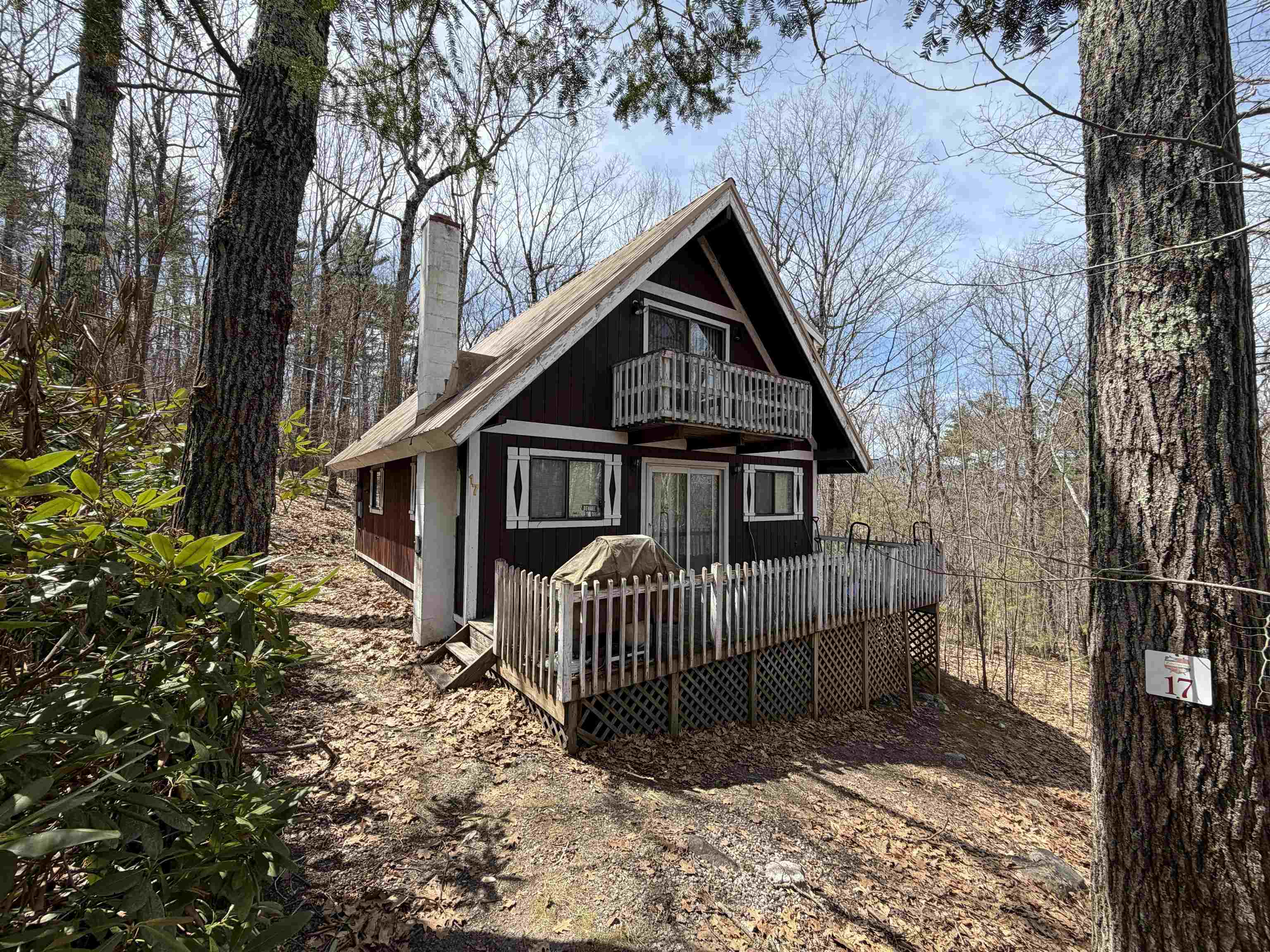 17 Klausen Road