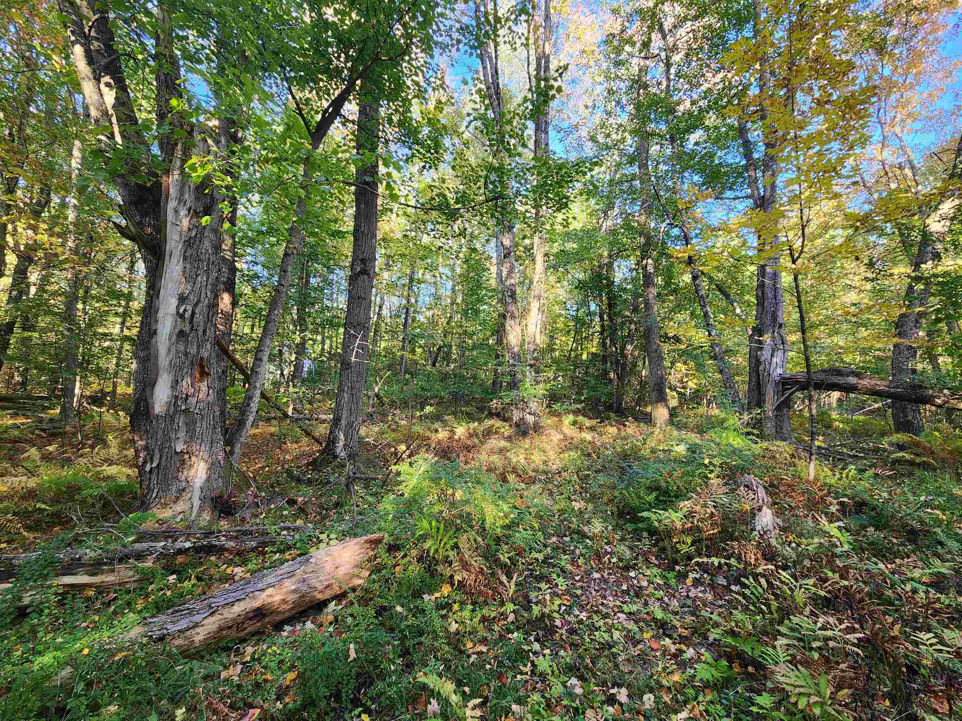 TBD Tall Pine Road