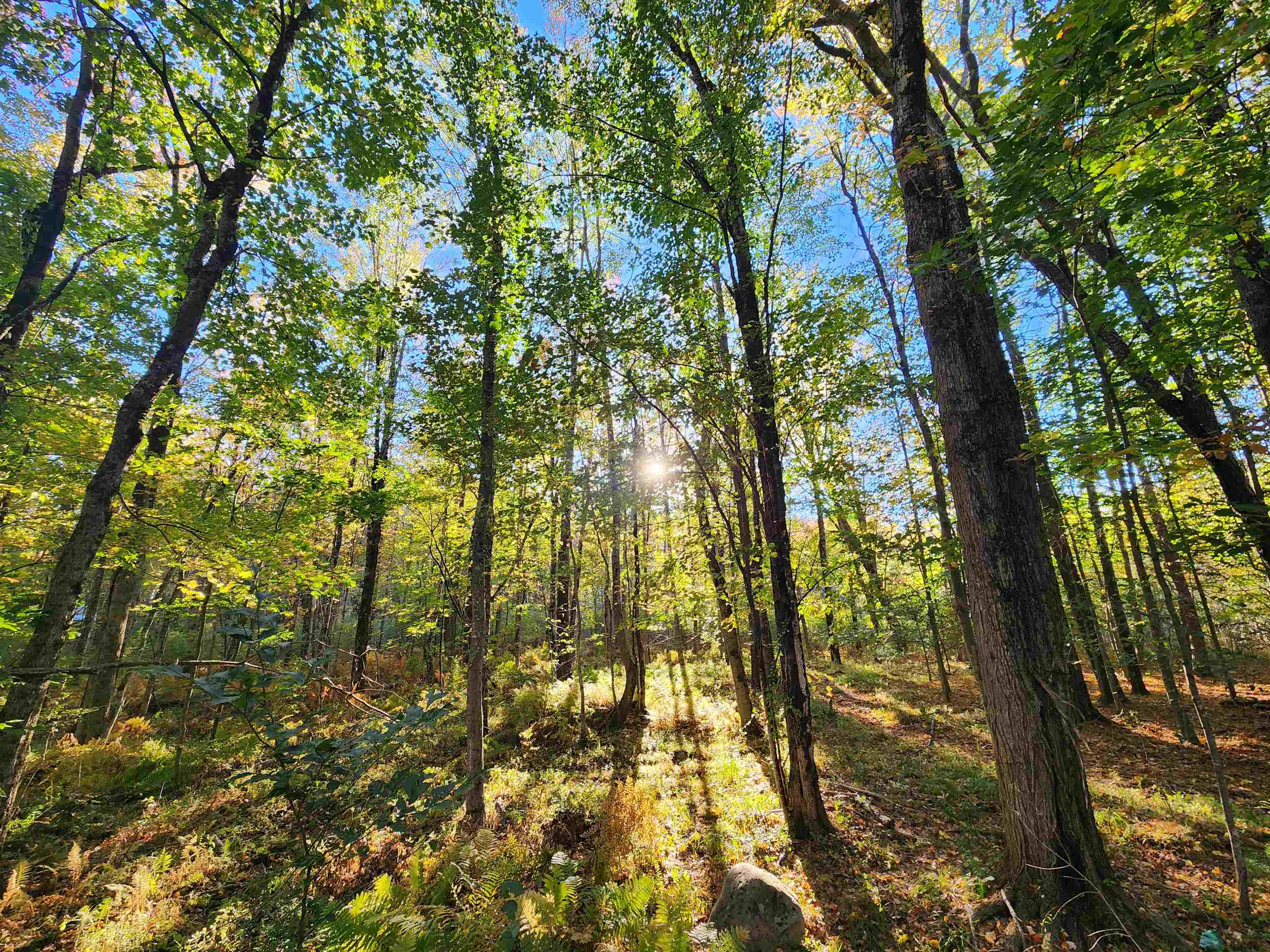 TBD Tall Pine Road