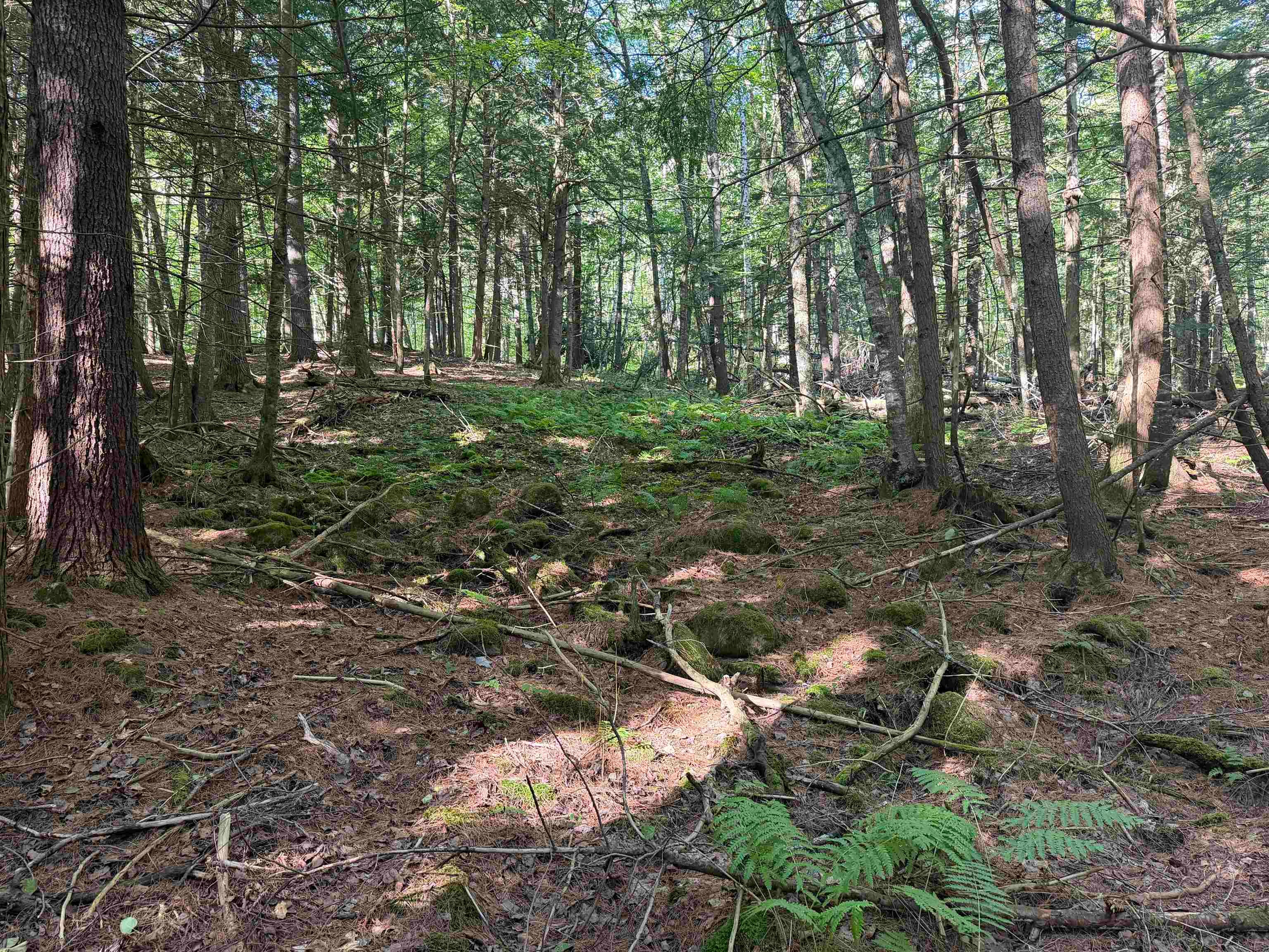 0 Storrs Hill Road 3