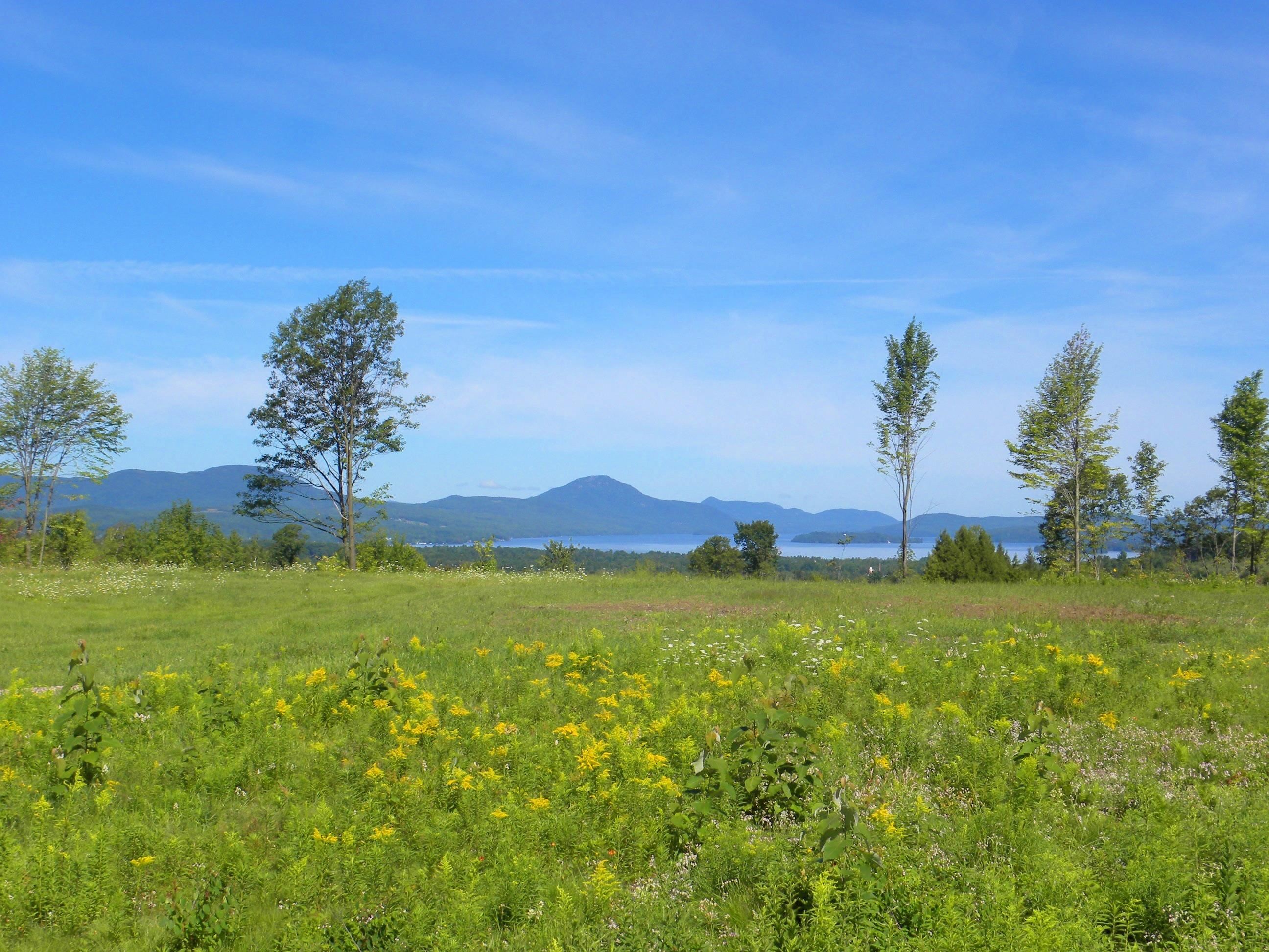 - Pine Hill Road Lot F - Photo 3