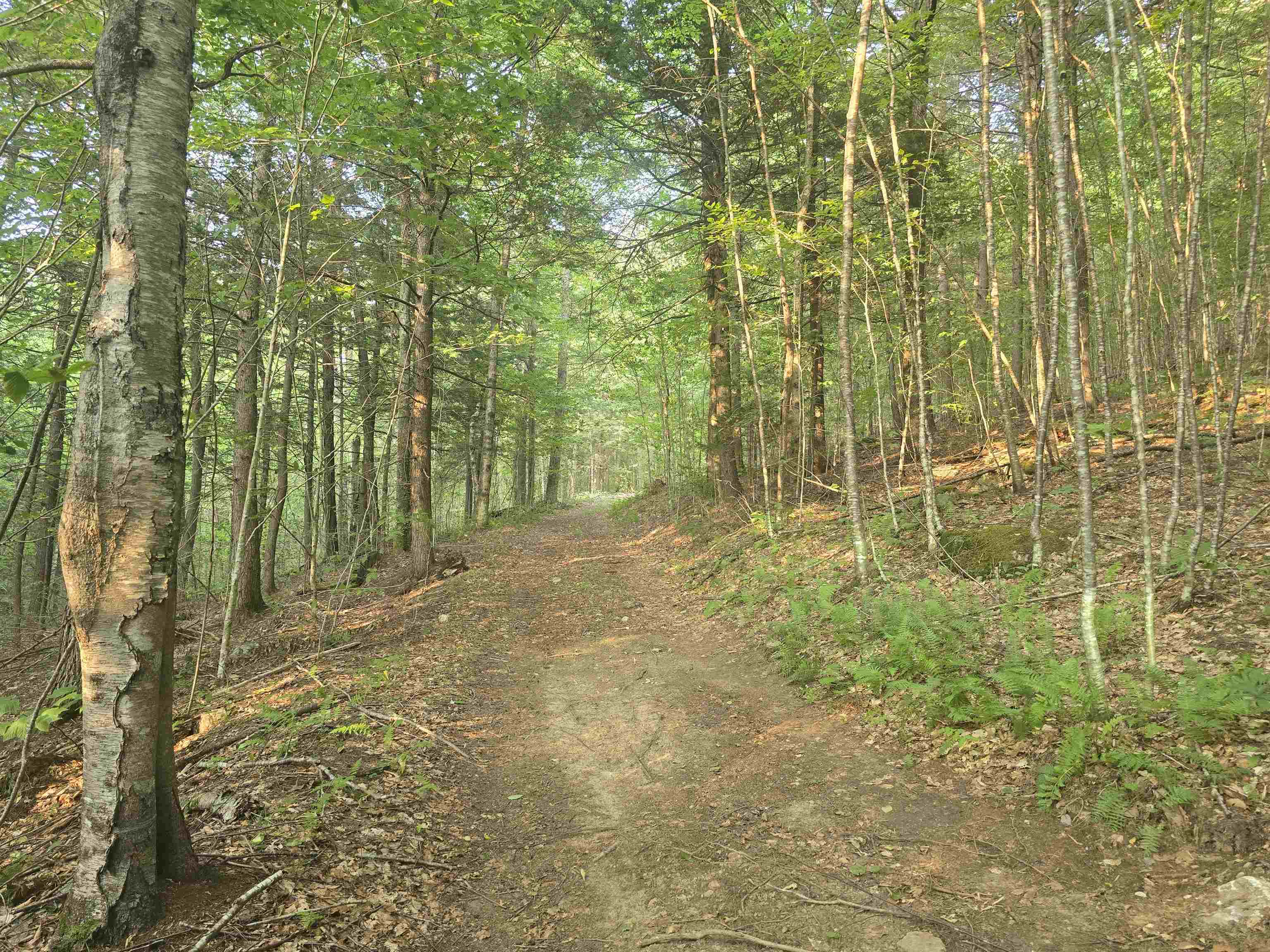 Off Robin Hill Road