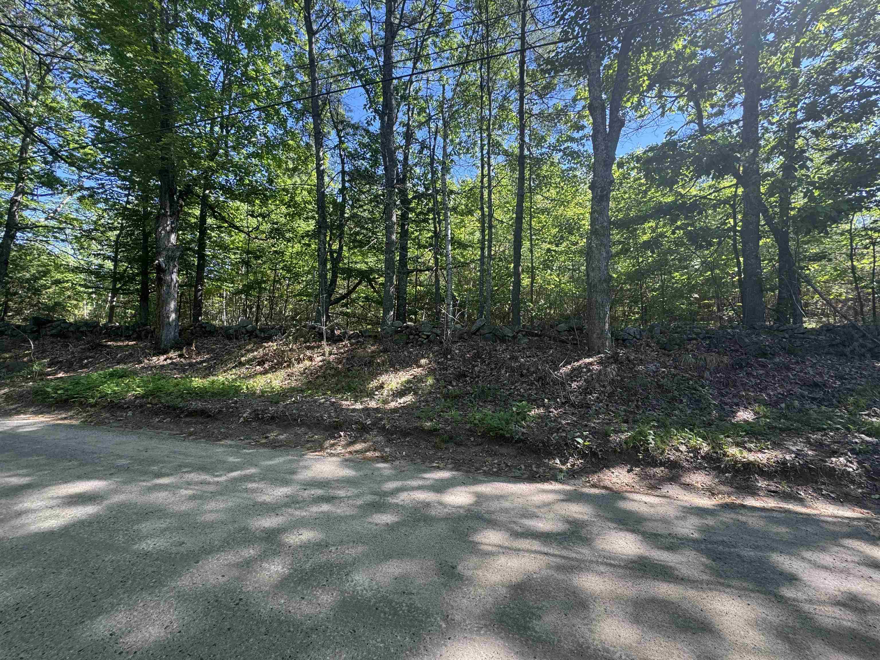 Lot 20.3 (TM4) John Hodgdon Road