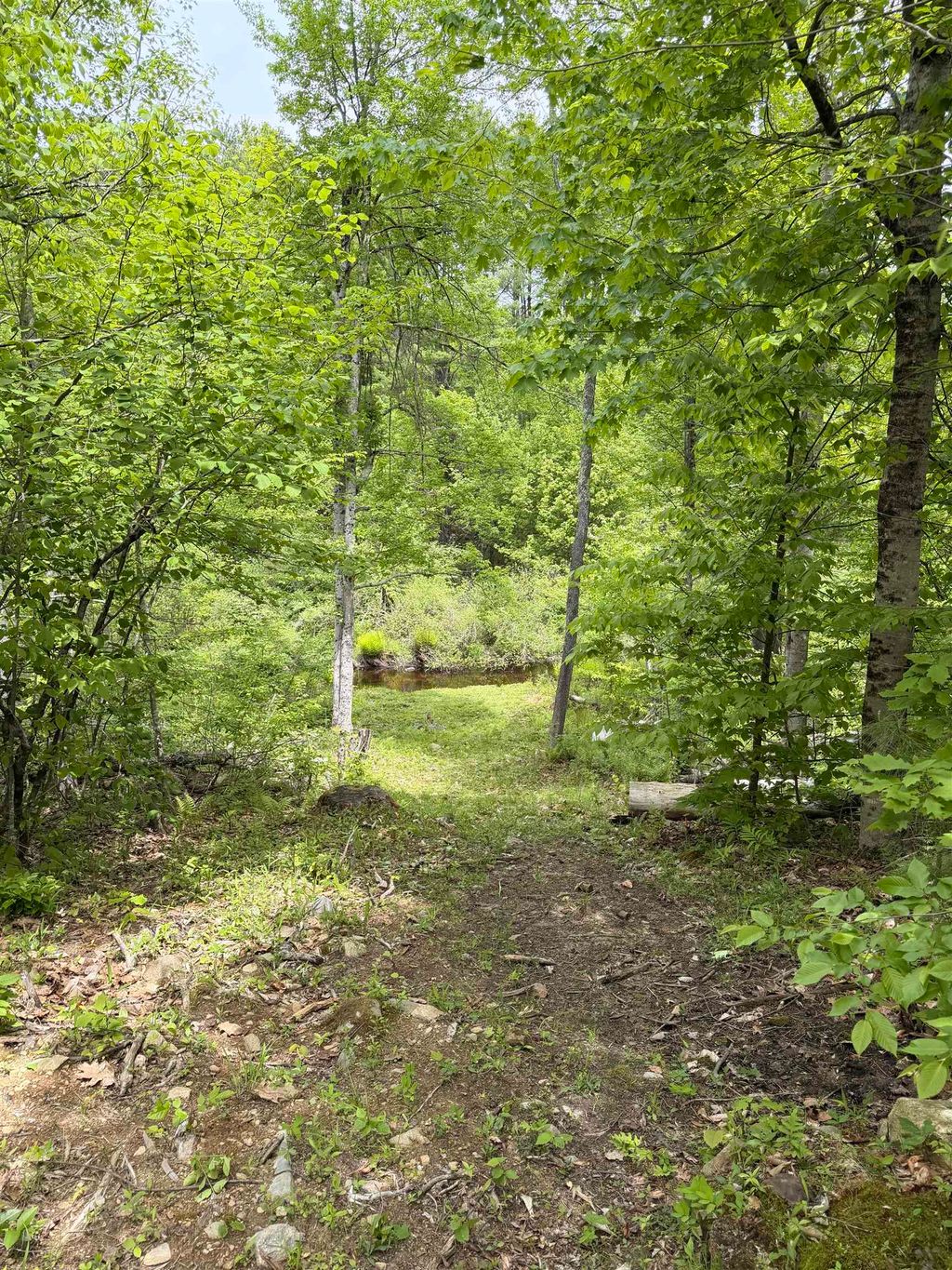 Photo of 316 Tucker Mill Road, New Boston, NH 03070 (MLS # 5090053)