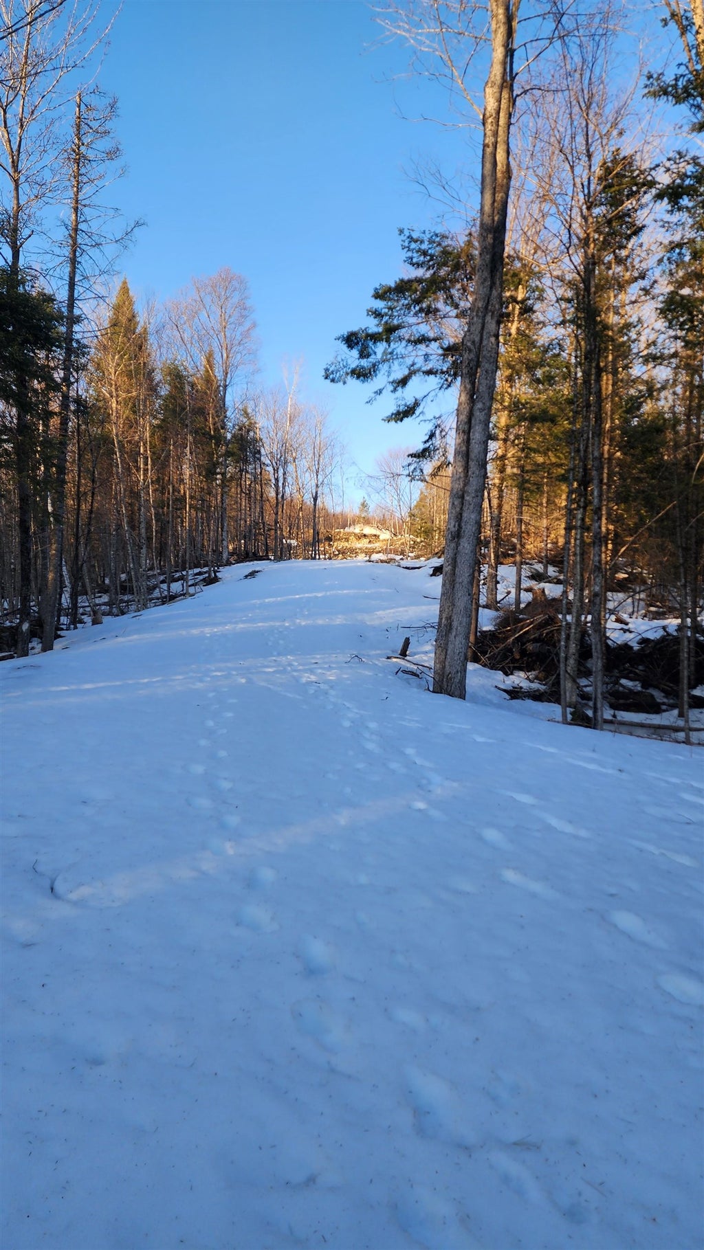 Photo of 00 US Route 2, Randolph, NH 03593 (MLS # 5115302)