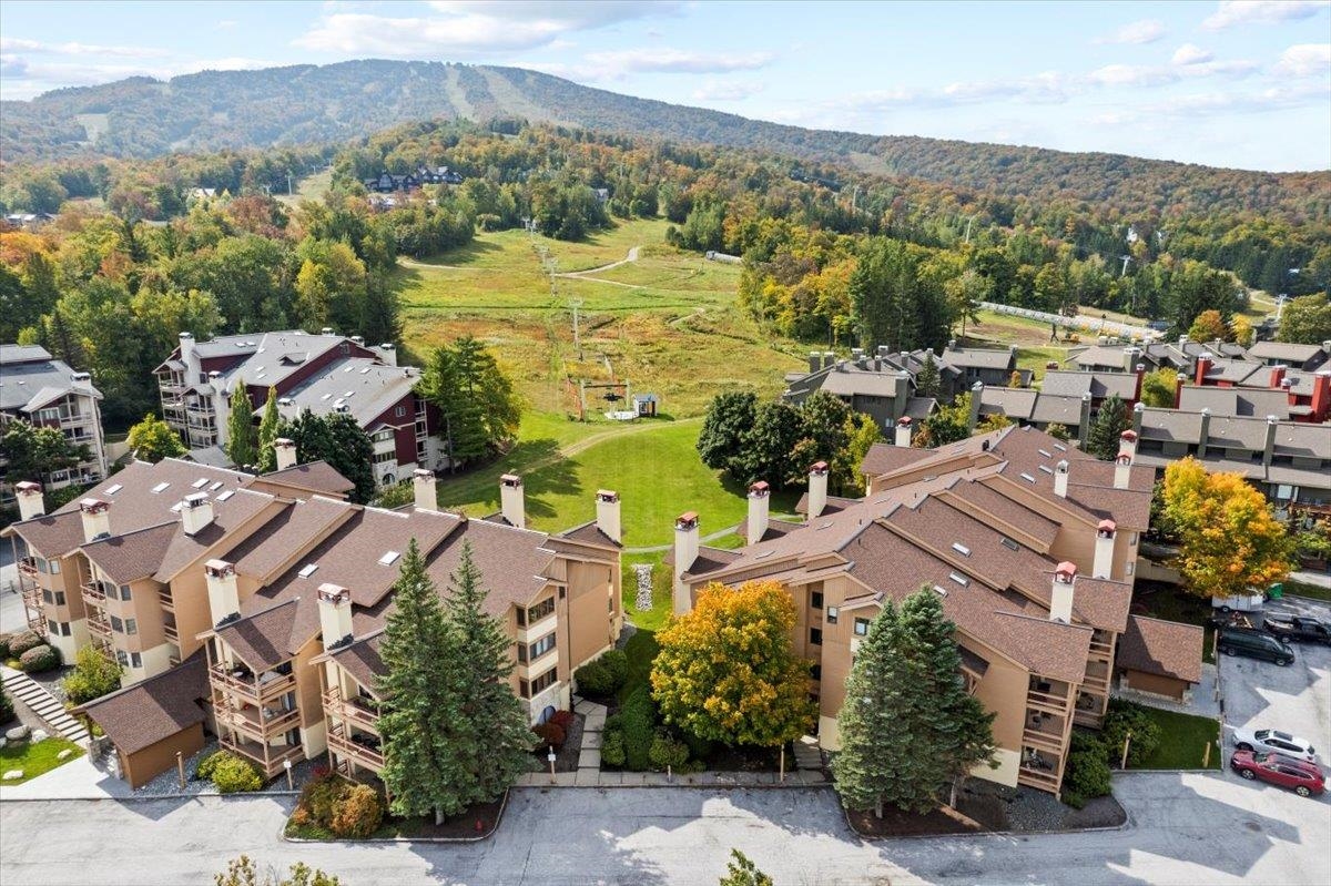 778 Stratton Mountain Access Road 2401