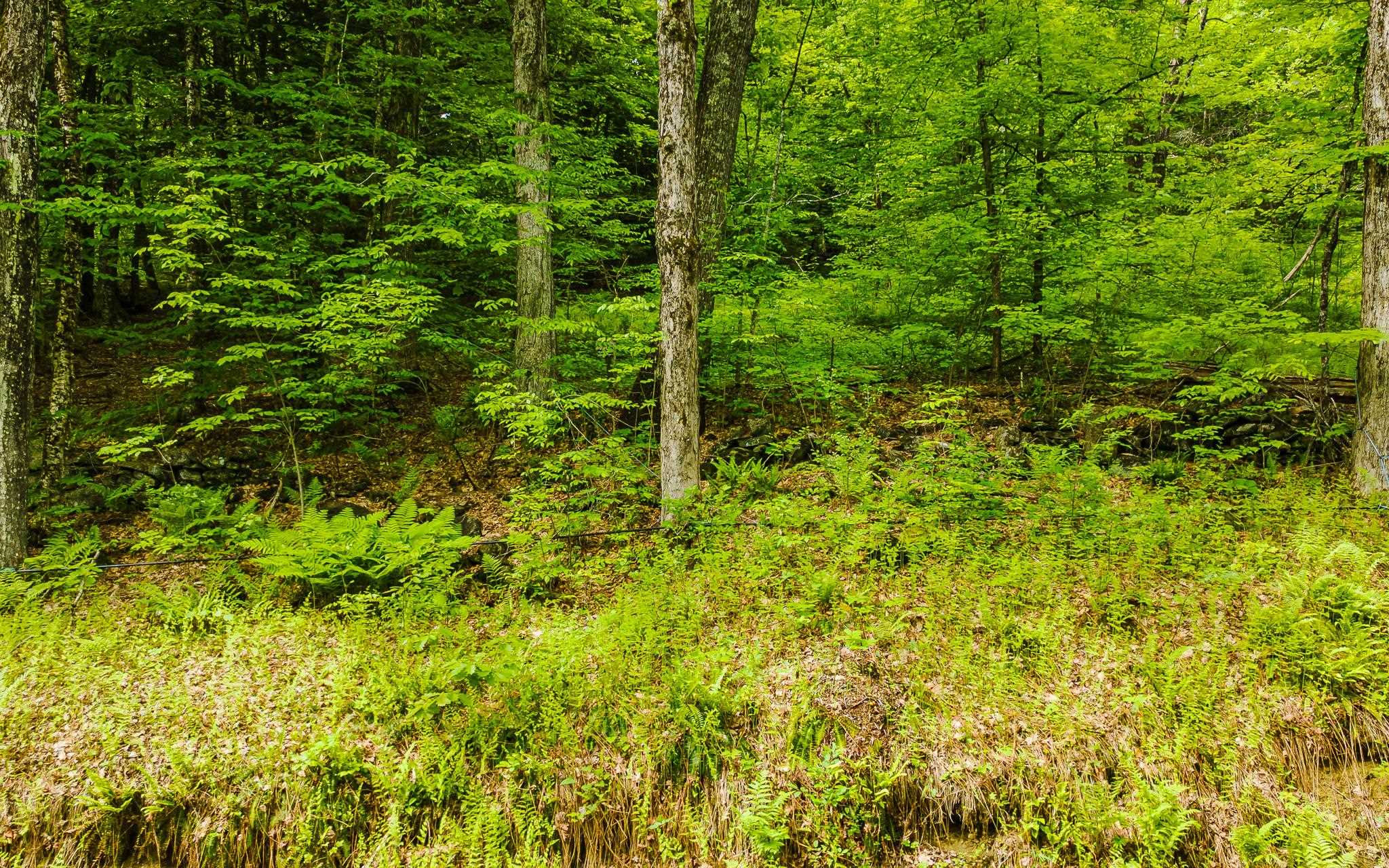 00 Camp Brook Road Map 30 Lot 67A