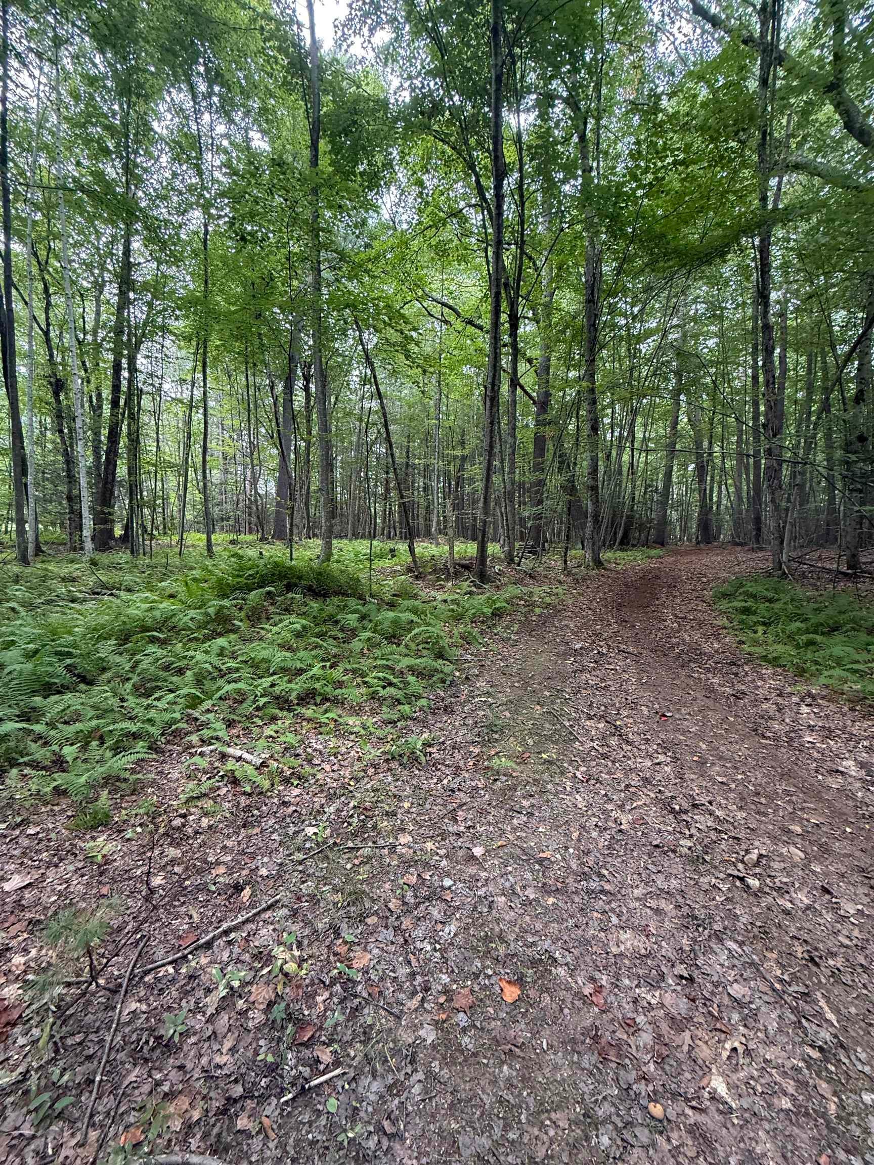 21 Chase Road Lot 2, Map 11 Block 10
