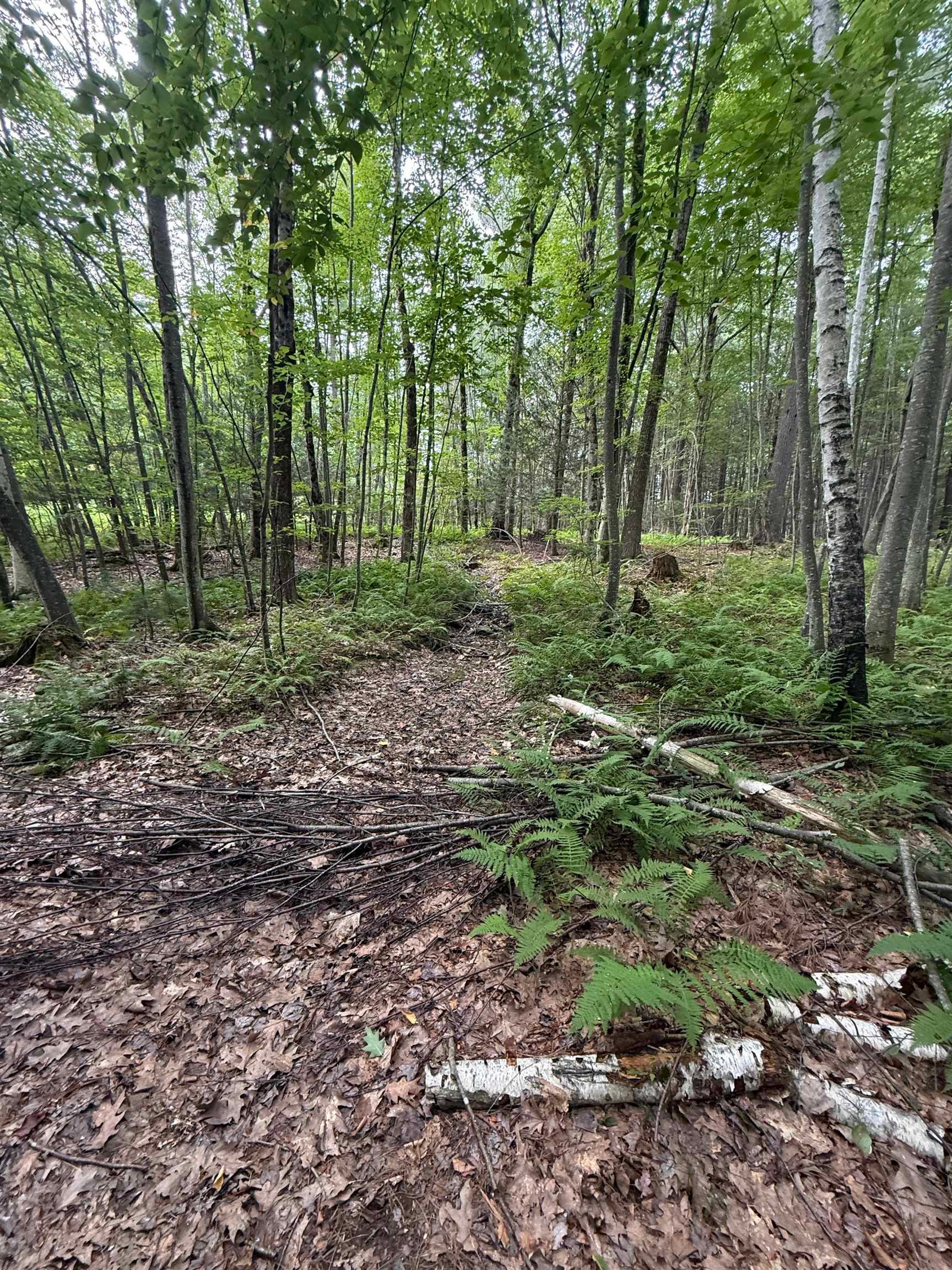 21 Chase Road Lot 2, Map 11 Block 10