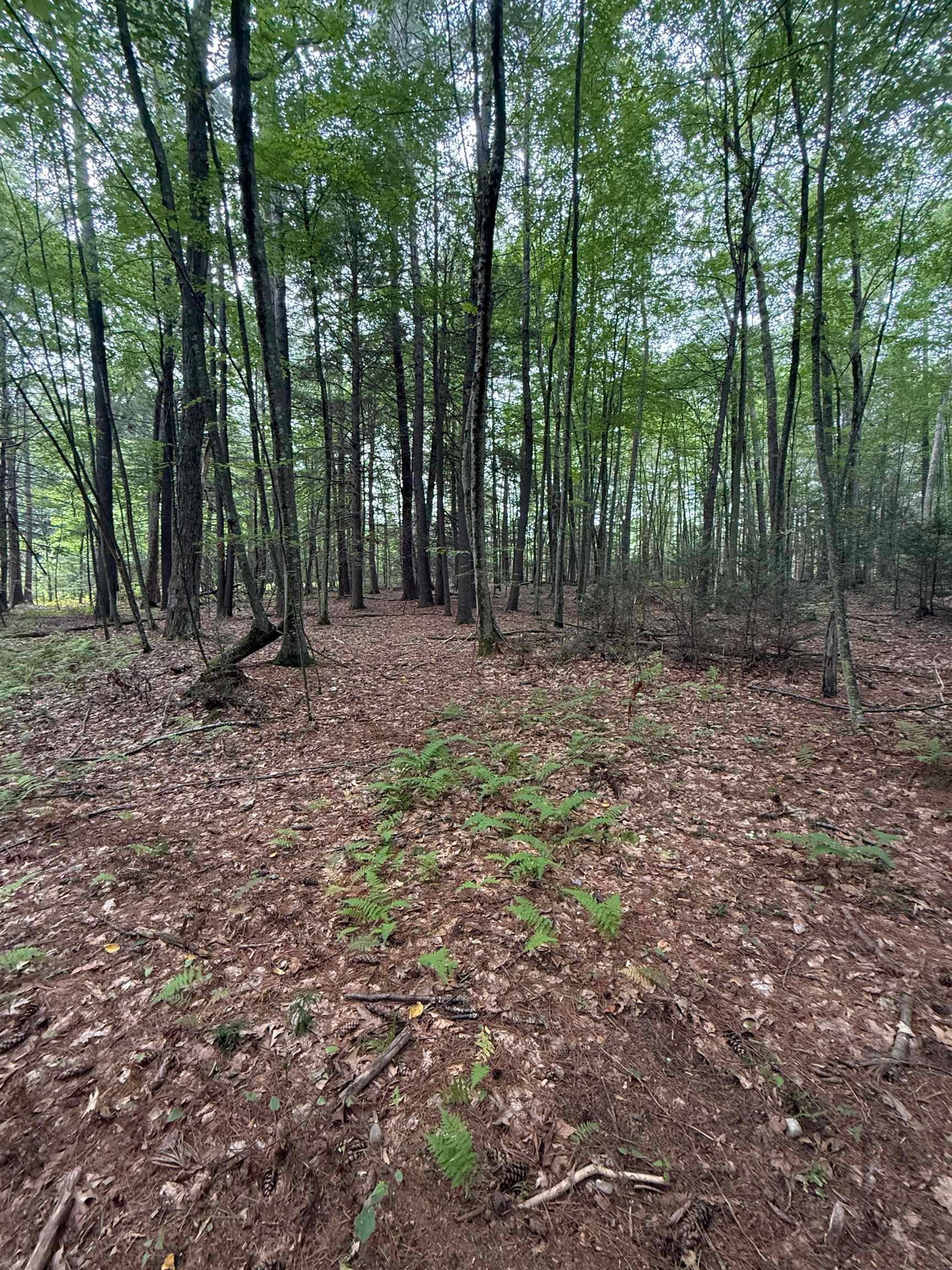 21 Chase Road Lot 2, Map 11 Block 10