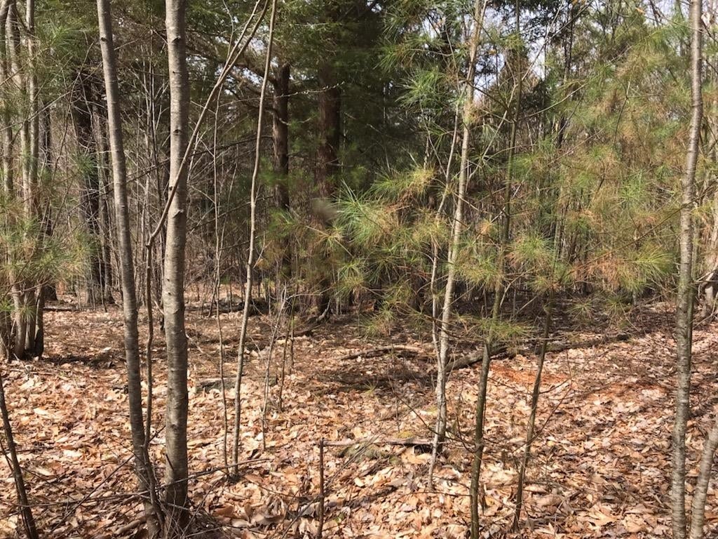 305 Middleton Road