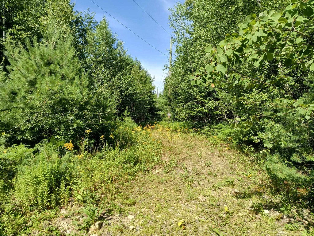 Photo of 7335 Jaffrey Road, Marlborough, NH 03455 (MLS # 5102902)