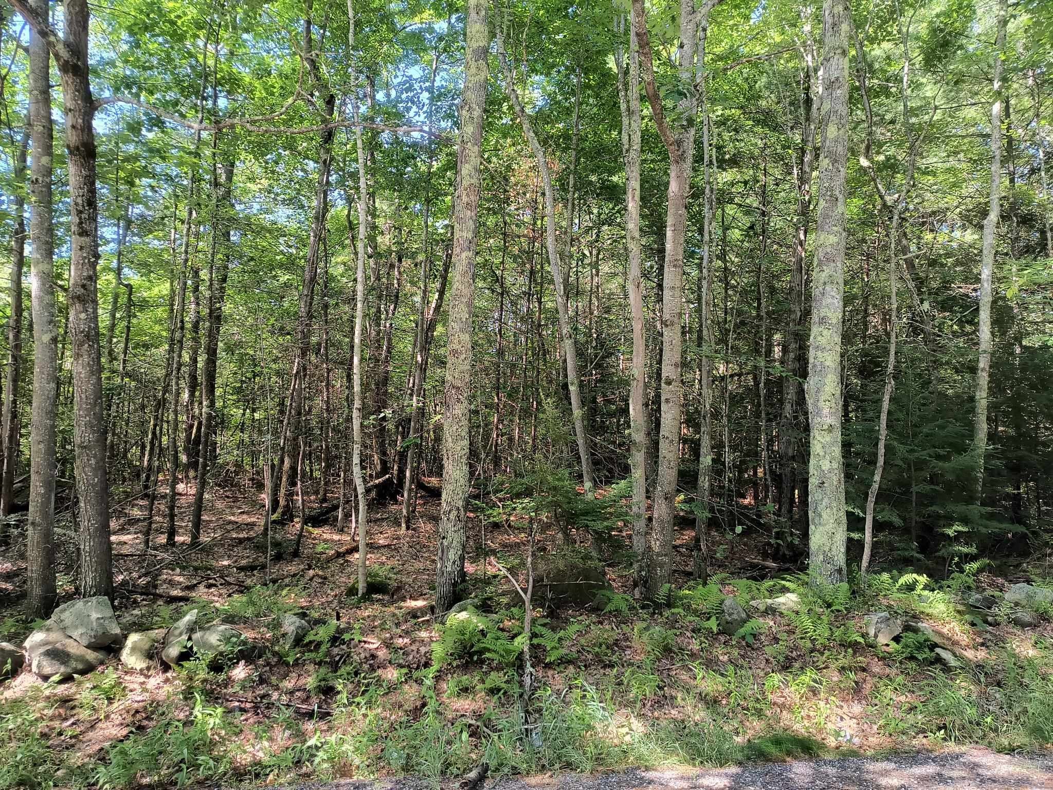 Map 7 Lot 33.5 Jaffrey Road