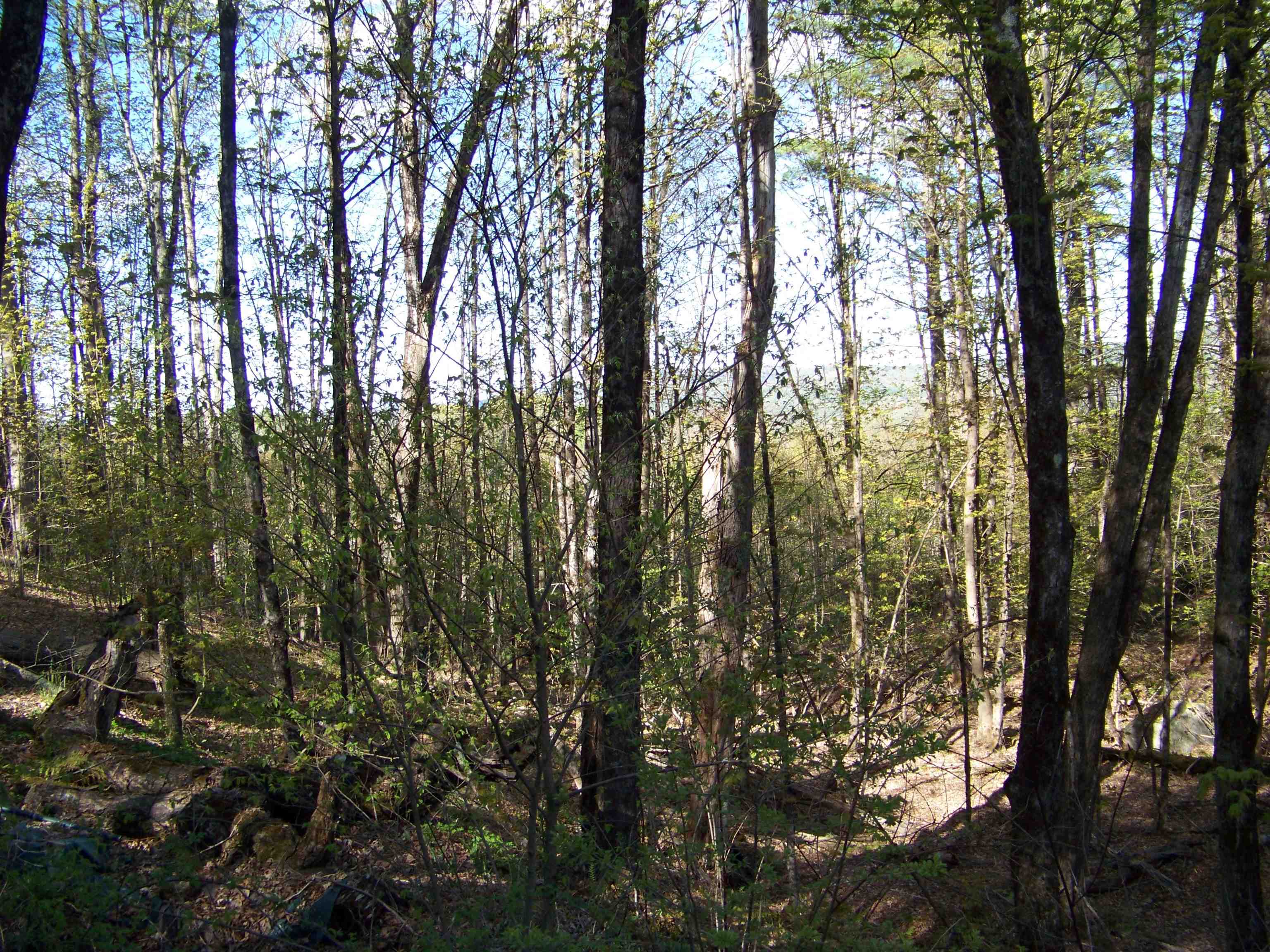 324 Sunrise Road