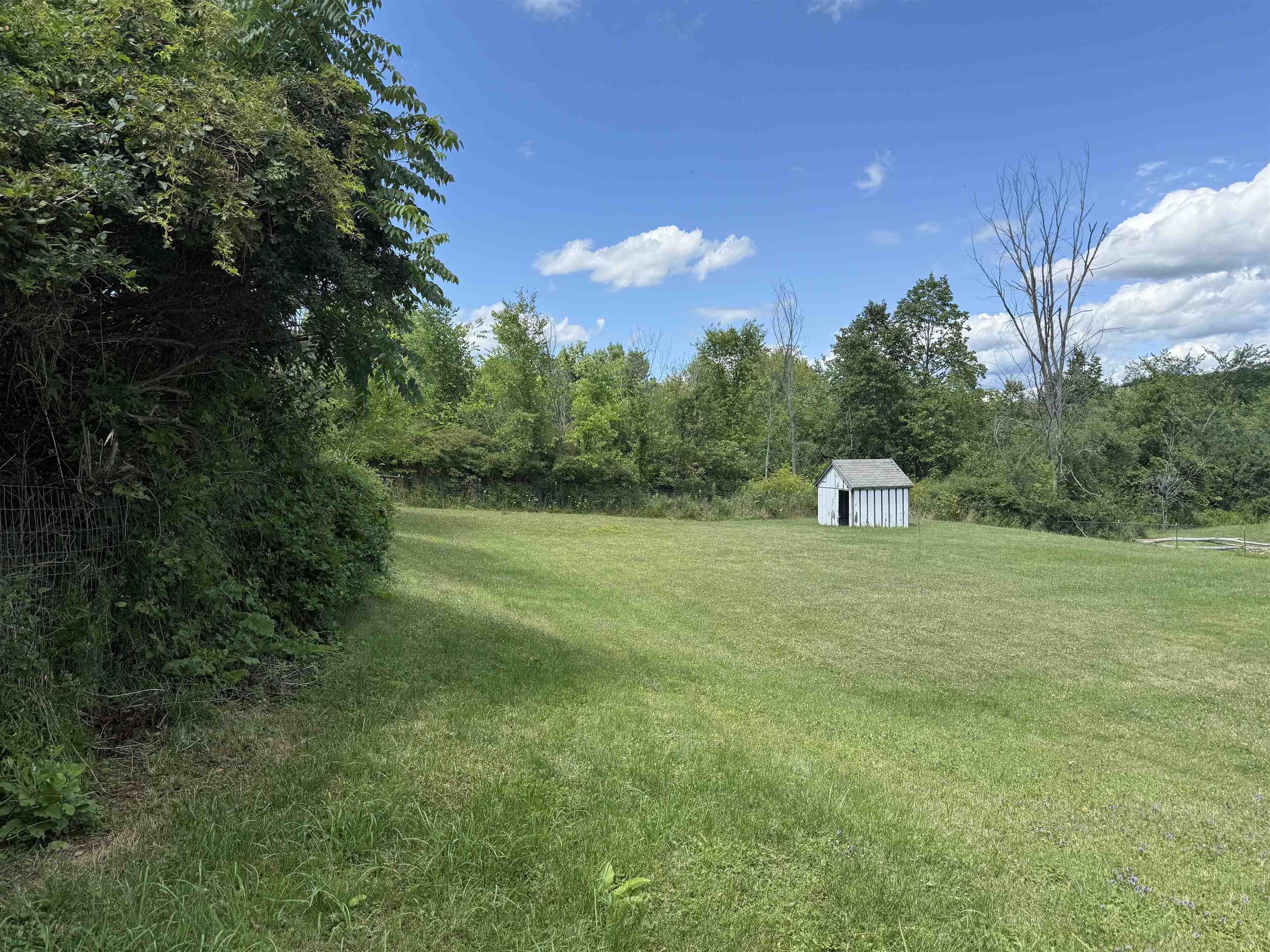 103 Court Street - Photo 4