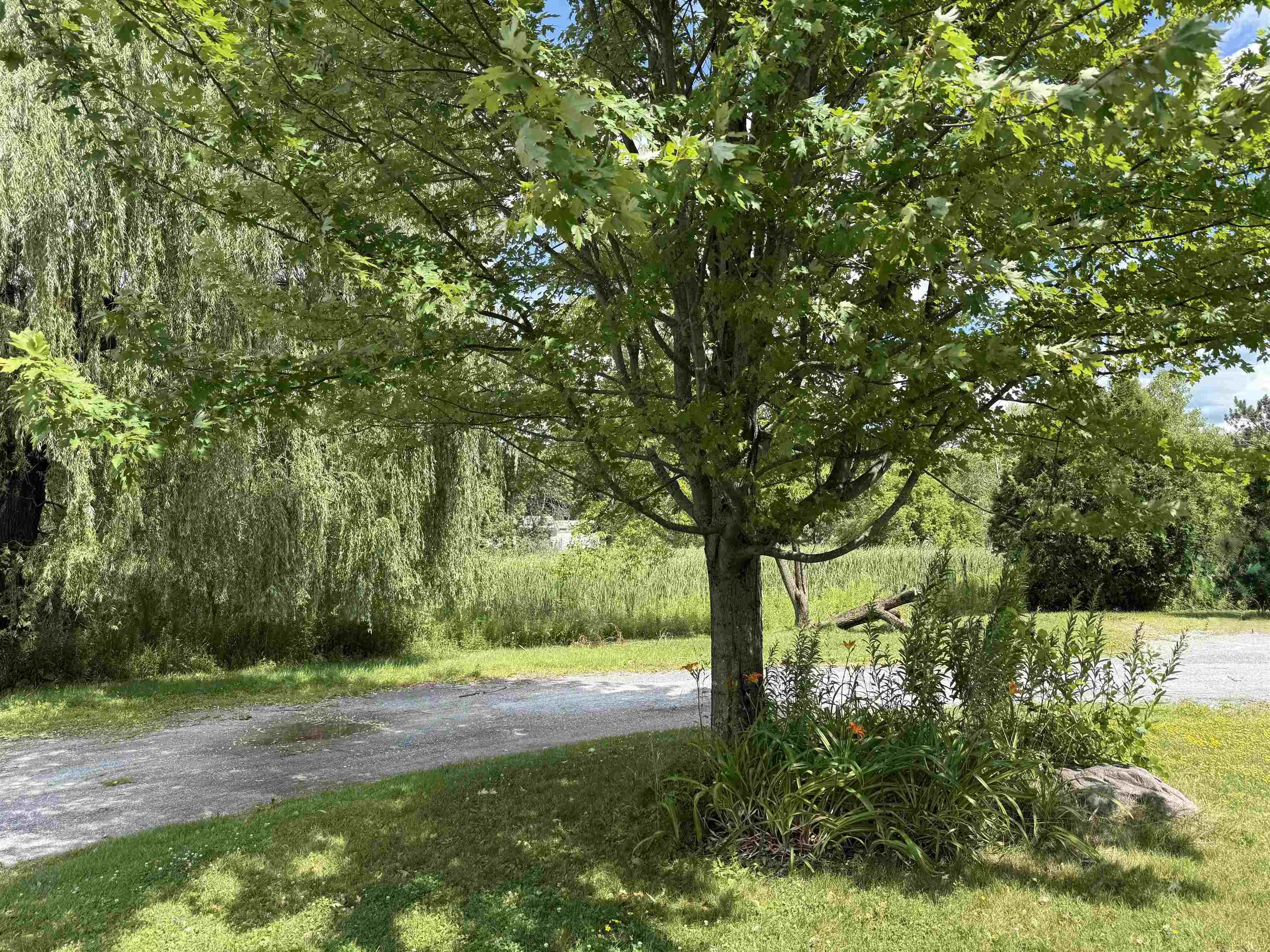 103 Court Street - Photo 3