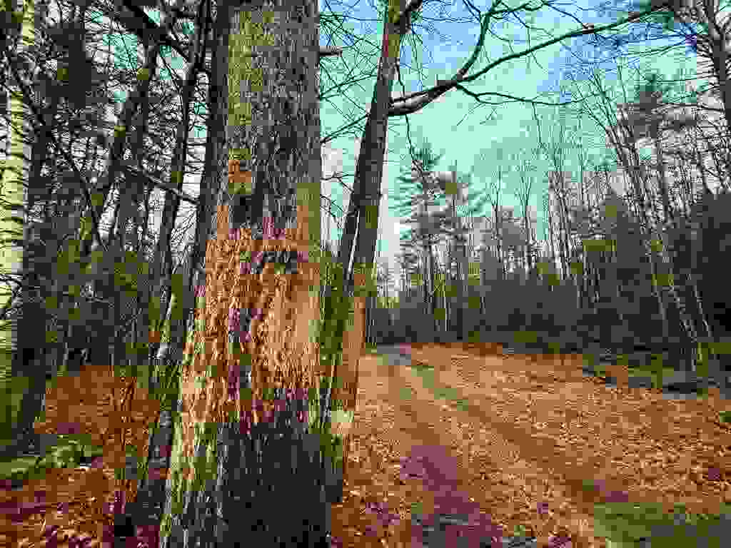 Photo of West Hill Road, Troy, NH 03465 (MLS # 5097224)