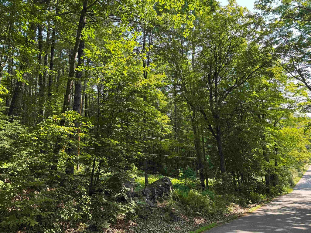 Photo of 0 George Road, Hebron, NH 03241 (MLS # 5102087)