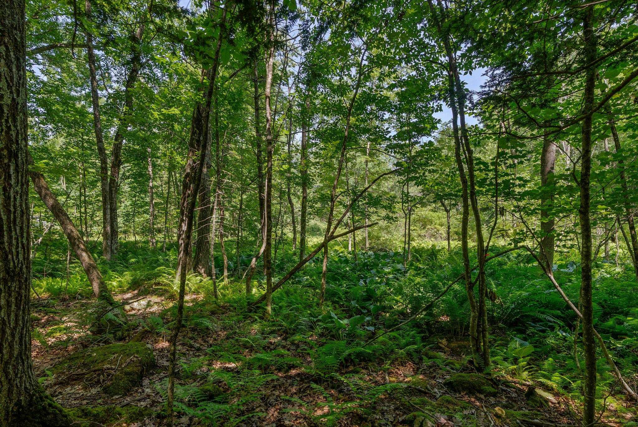 0 Piscataqua Road