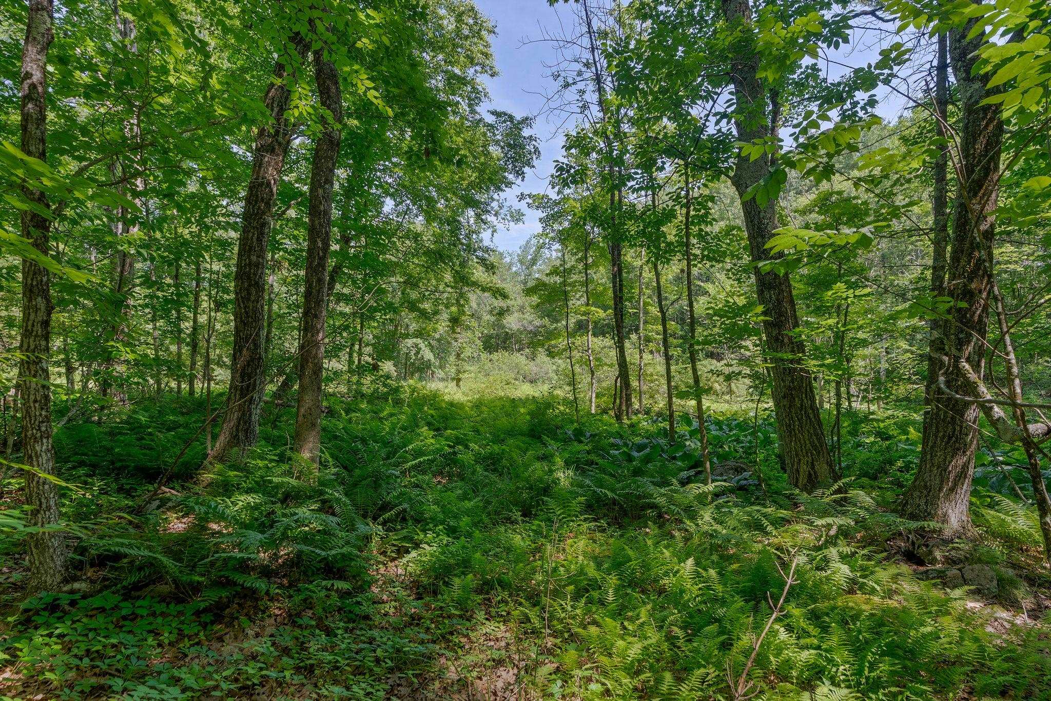 0 Piscataqua Road