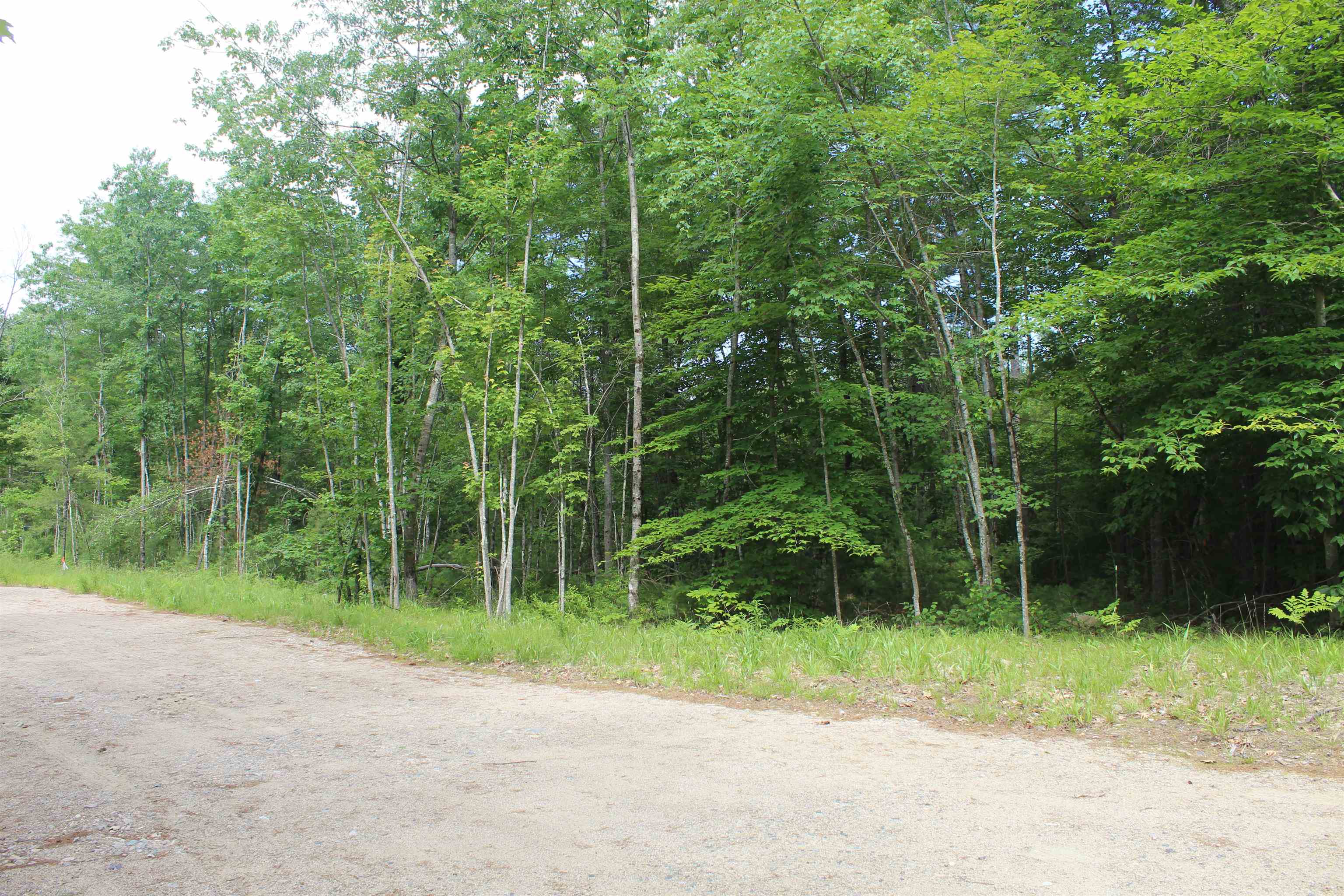 Lot 11 Squire Lane 11