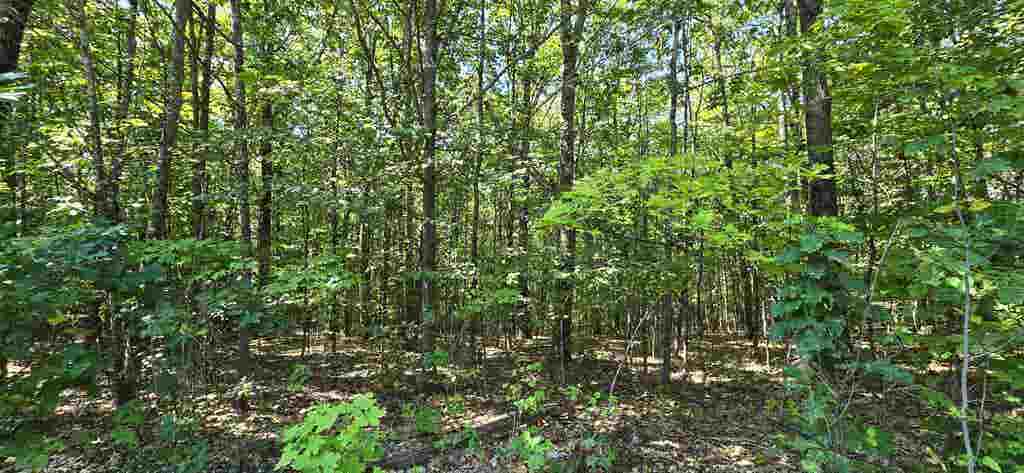 Photo of 40619 Guinea Ridge Road, Gilmanton, NH 03237 (MLS # 5103163)