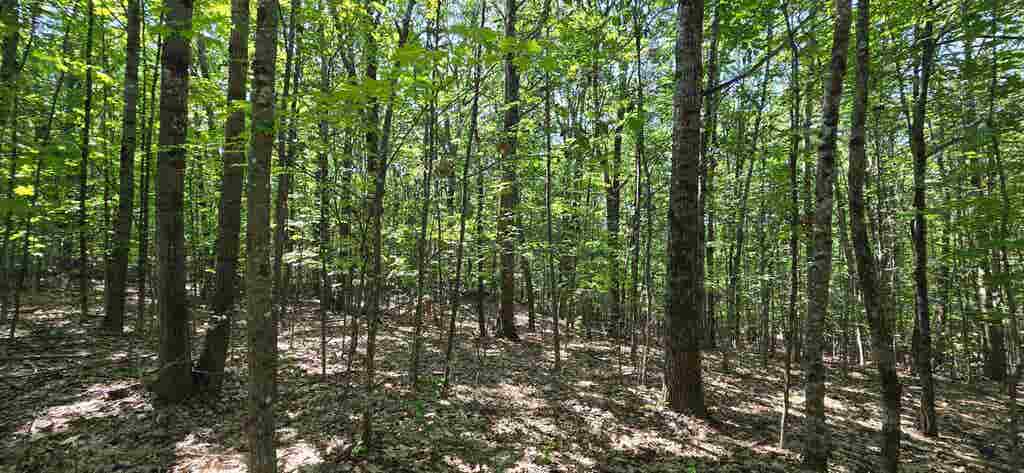 Photo of 40619 Guinea Ridge Road, Gilmanton, NH 03237 (MLS # 5103163)