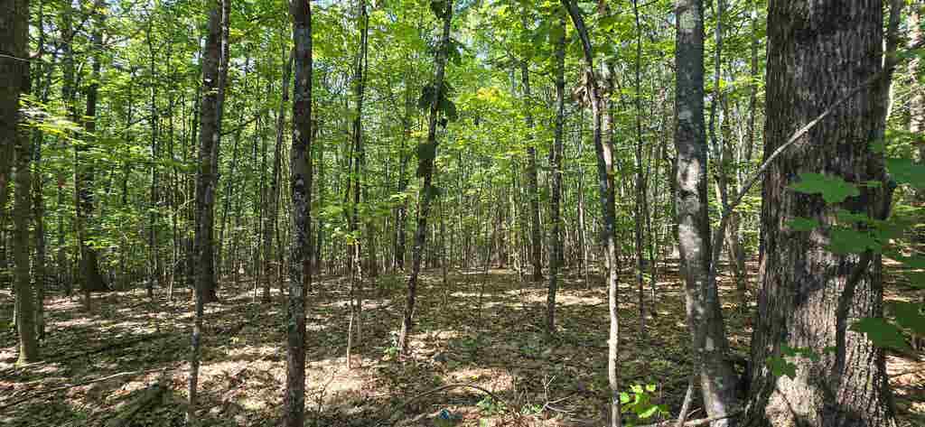 Photo of 40619 Guinea Ridge Road, Gilmanton, NH 03237 (MLS # 5103163)