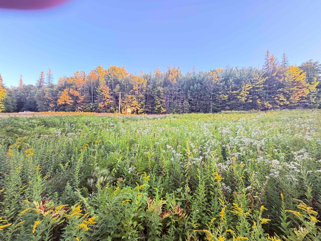 Photo of 00 Stark Highway, Stark, NH 03582 (MLS # 5108767)