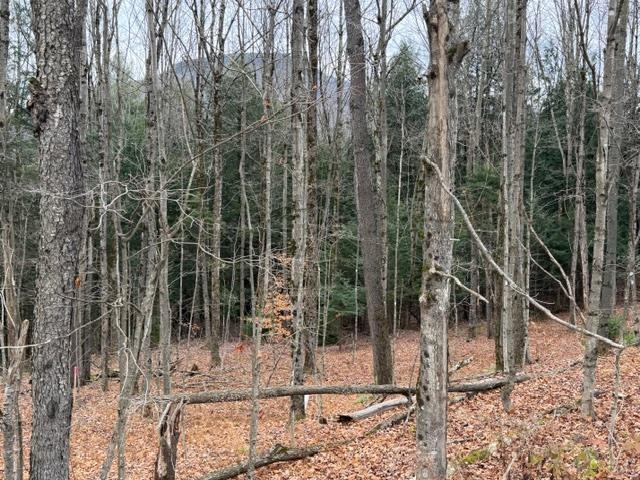 00 Maxfield Road - Photo 2