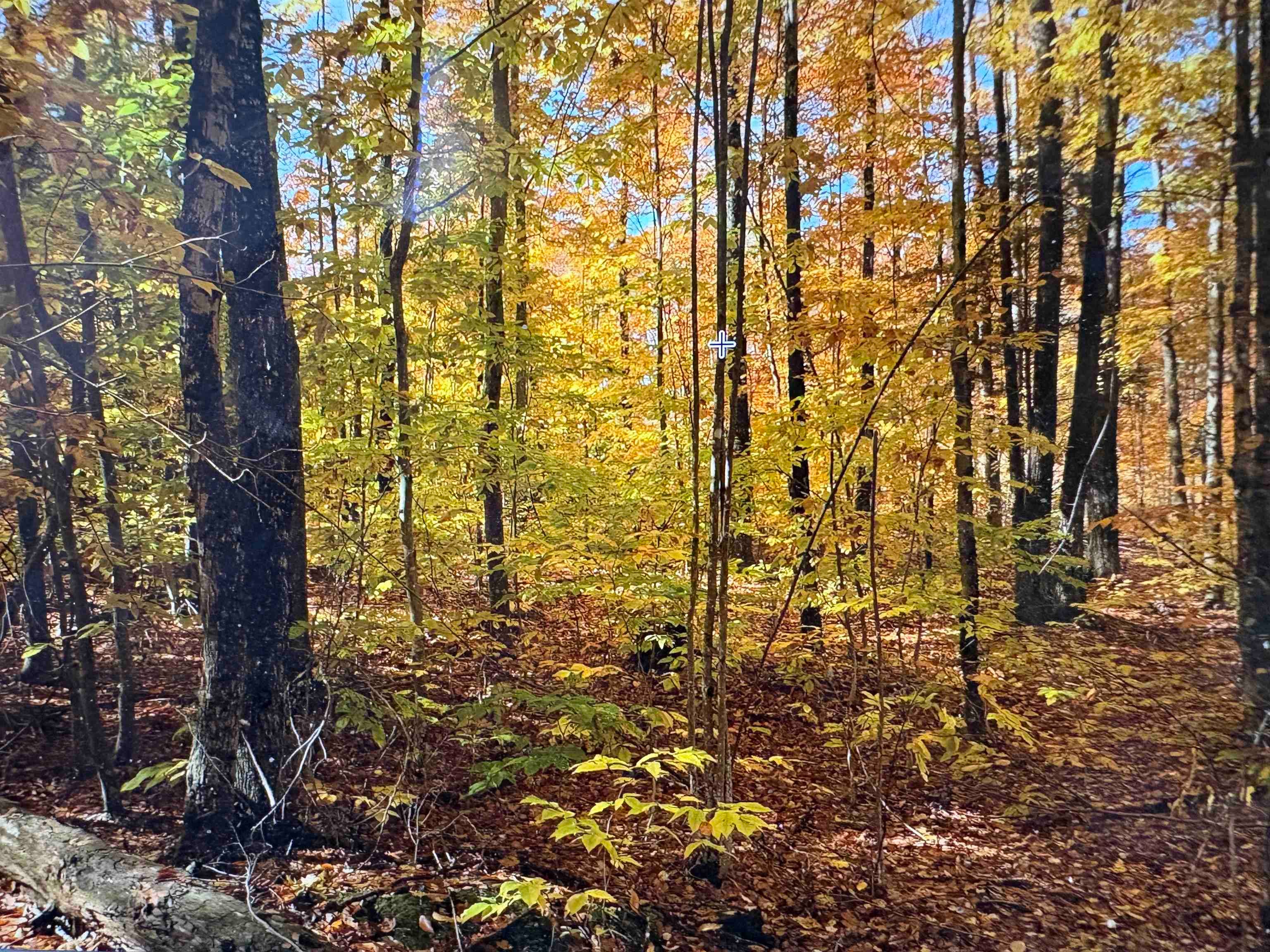 5 Squam River Landing