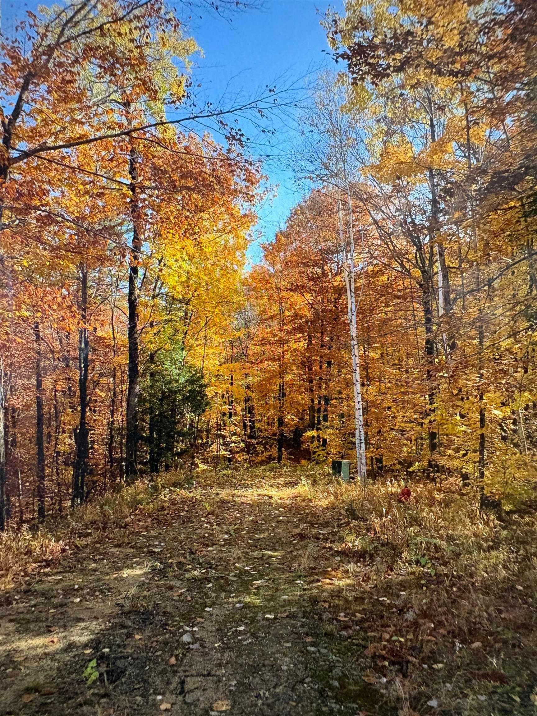5 Squam River Landing