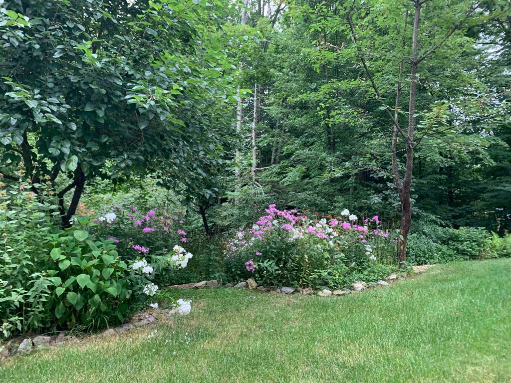 Photo of 33 South Summer Street, Nottingham, NH 03290 (MLS # 5091808)