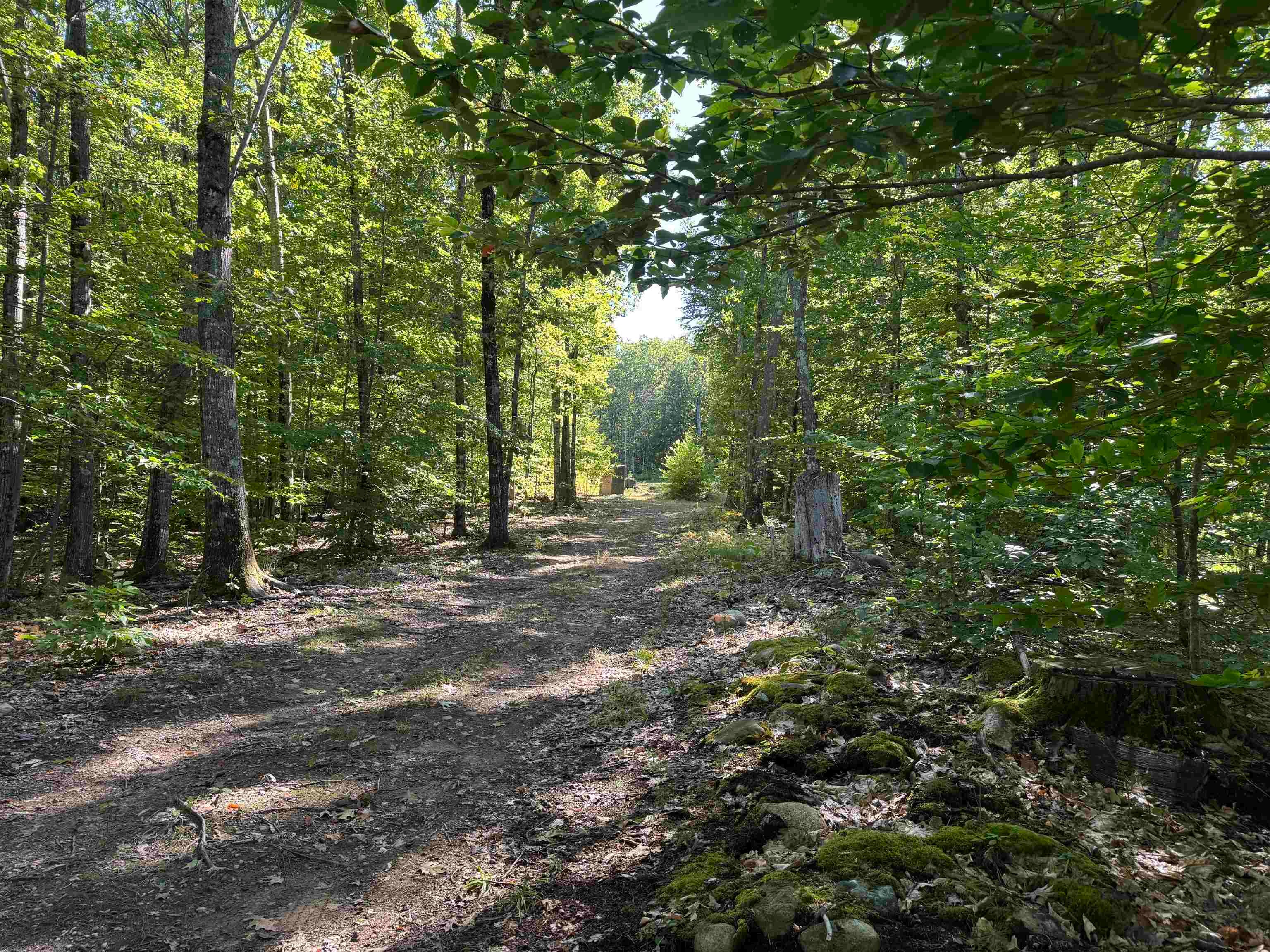26 Circuit Road