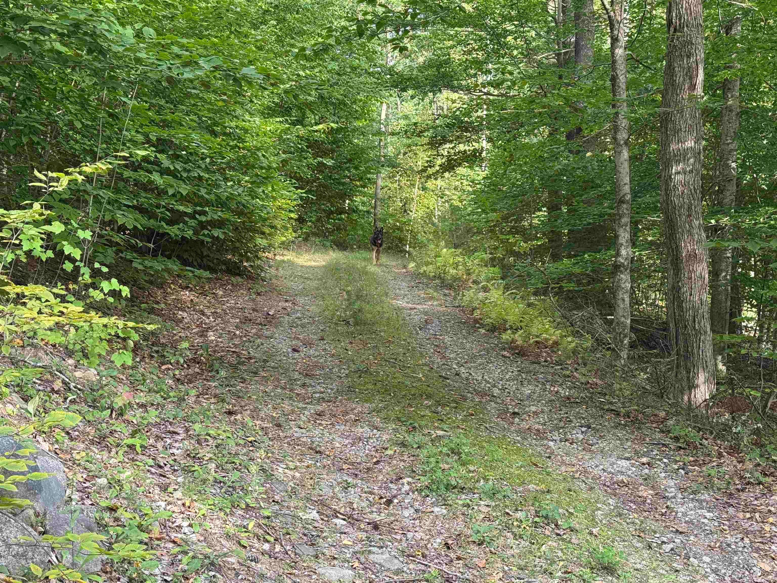26 Circuit Road