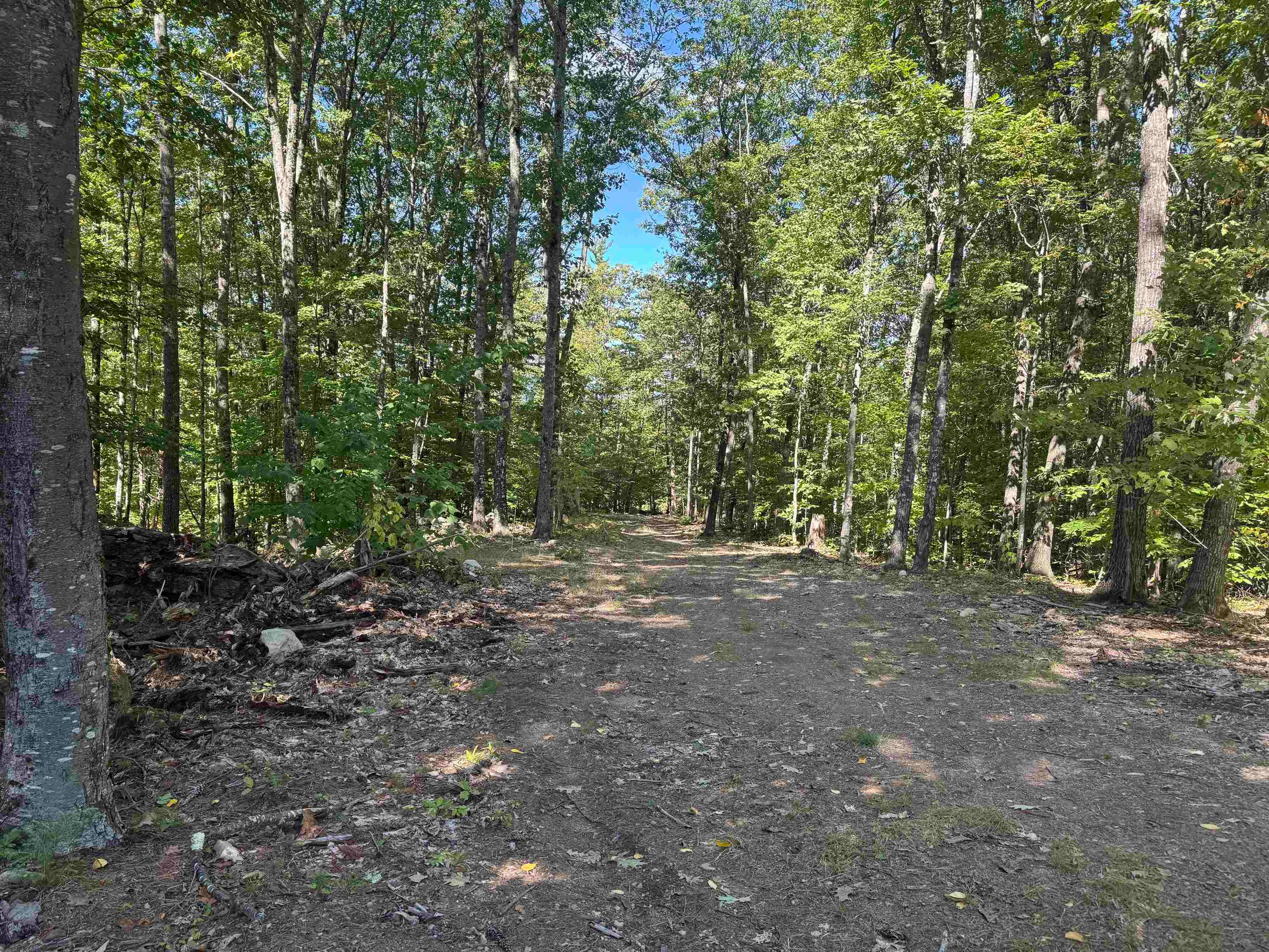 26 Circuit Road