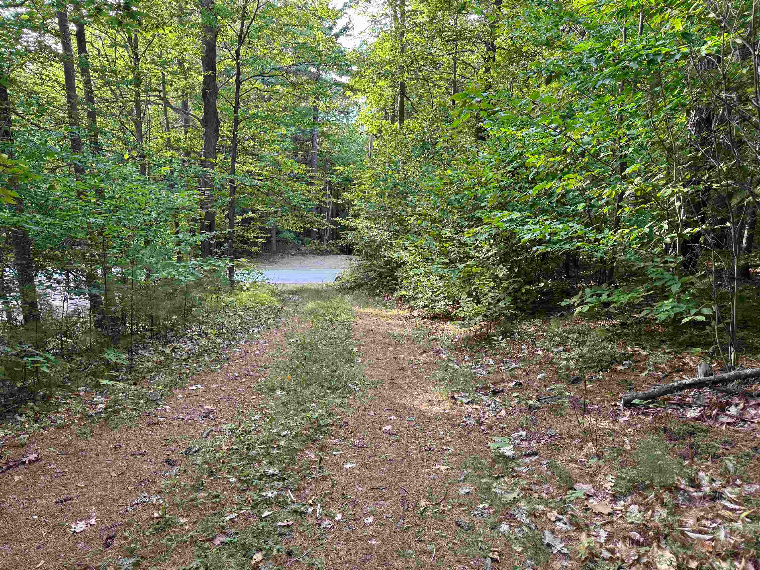 26 Circuit Road