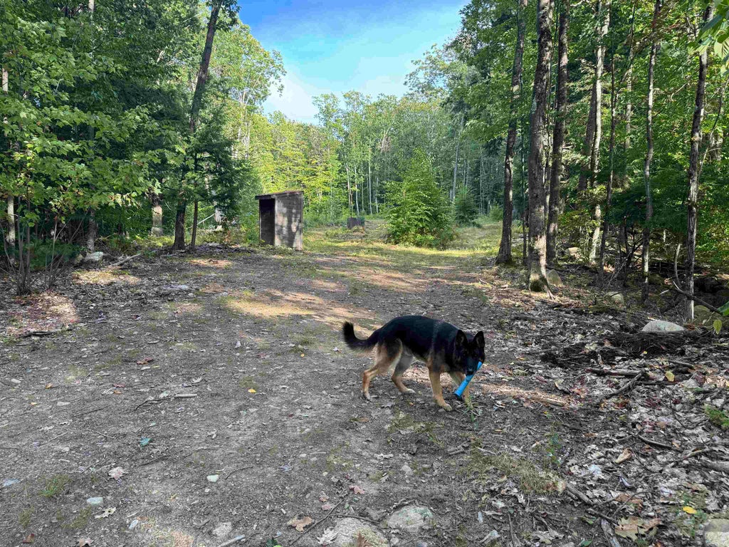 Photo of 26 Circuit Road, Ossipee, NH 03864 (MLS # 5110683)