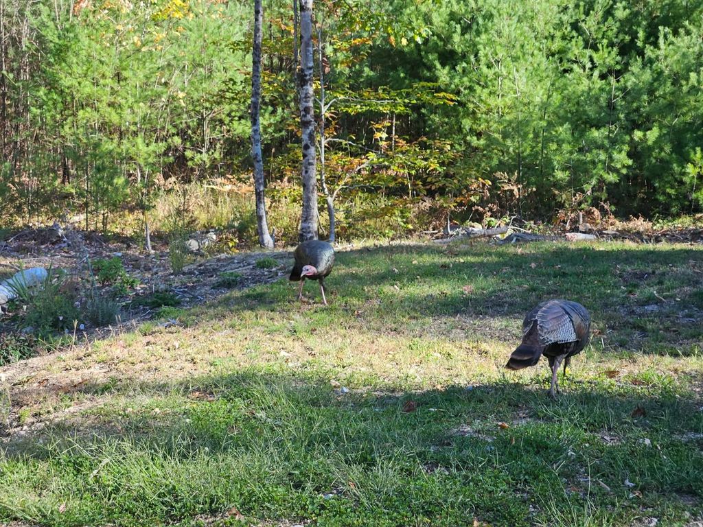 Photo of 0 Canal Road #34, Wakefield, NH 03872 (MLS # 5093187)
