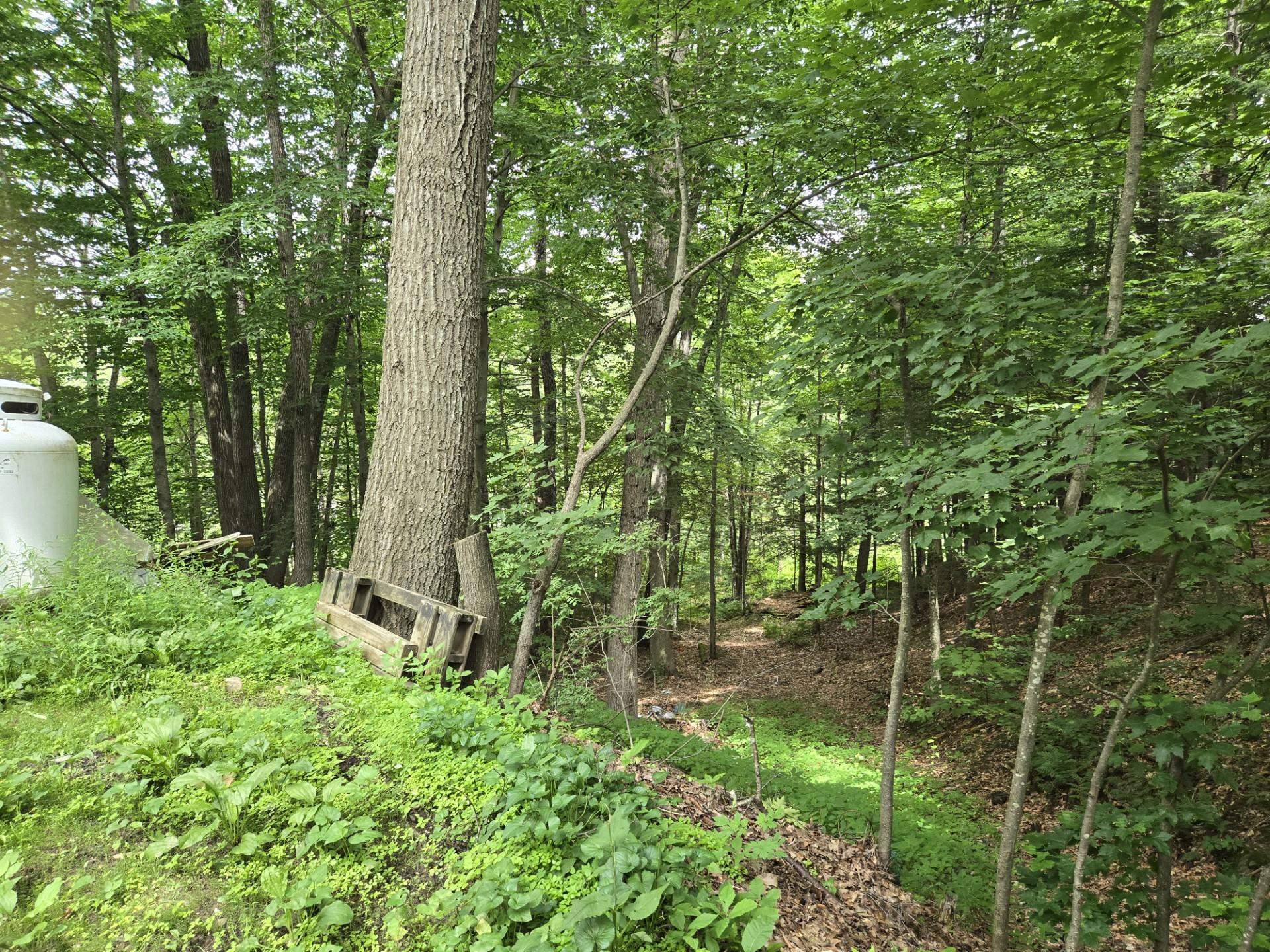 208 NH Route 3A