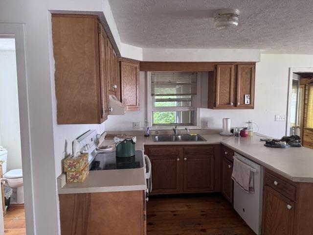 15R Norman Drive