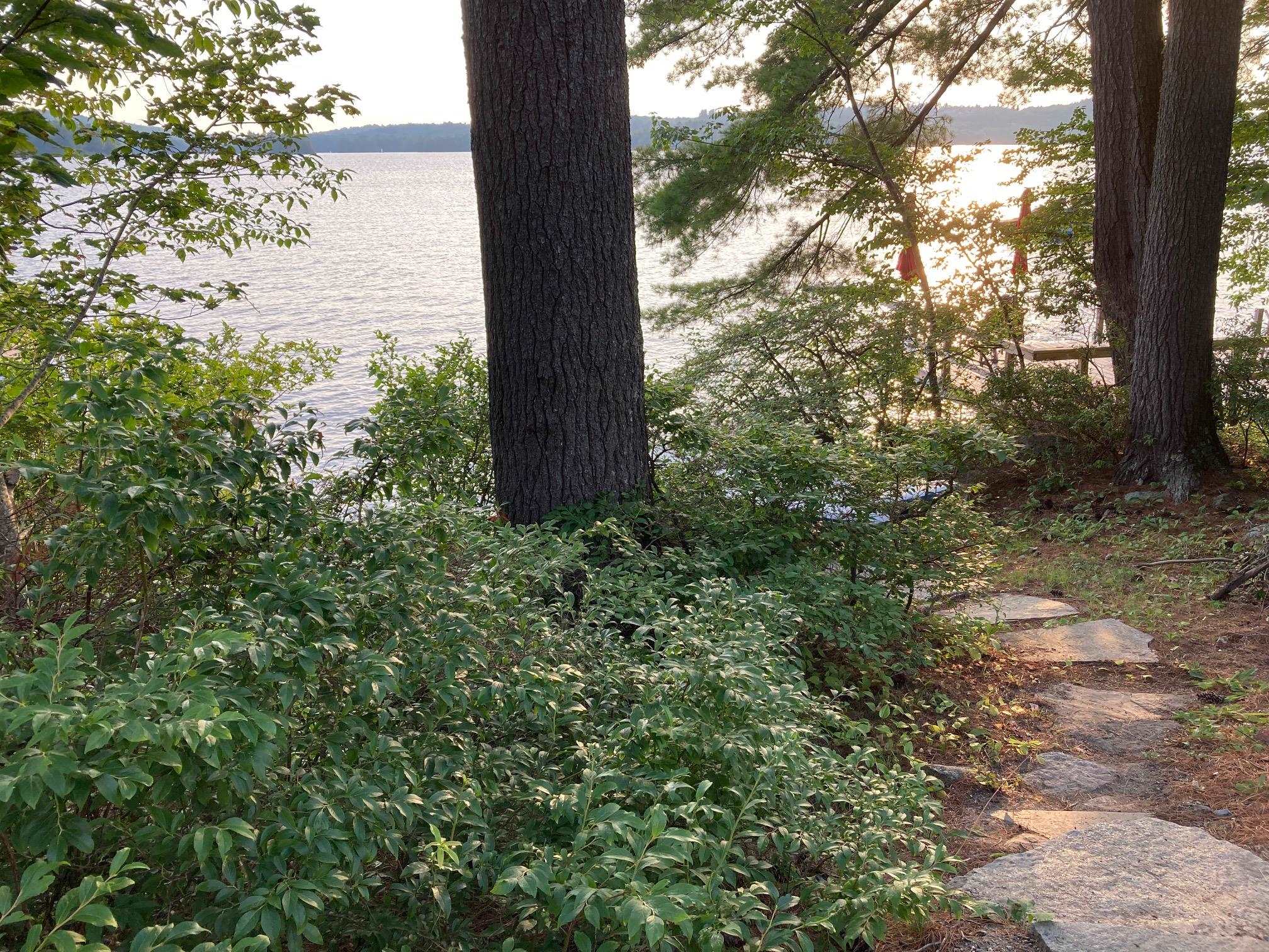 4 Lake Avenue
