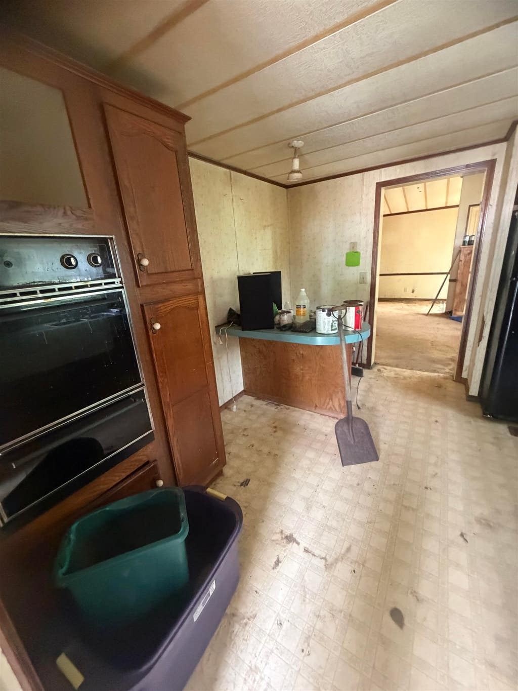 Photo of 13 Caribbean Lane, Rochester, NH 03867 (MLS # 5091899)