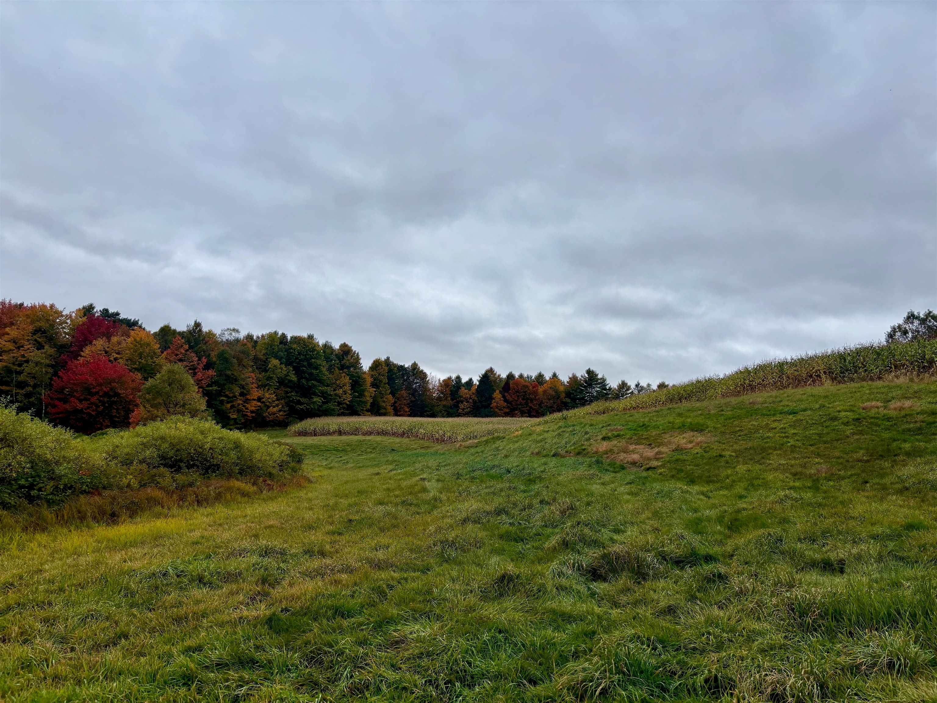 0000 Lily Pond Road 6