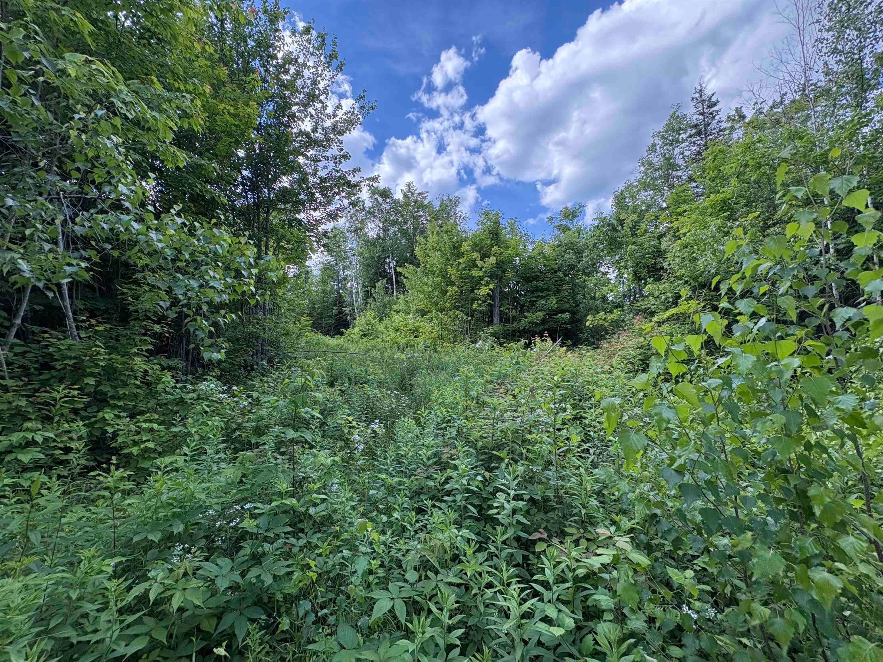 208 Drake Place Road