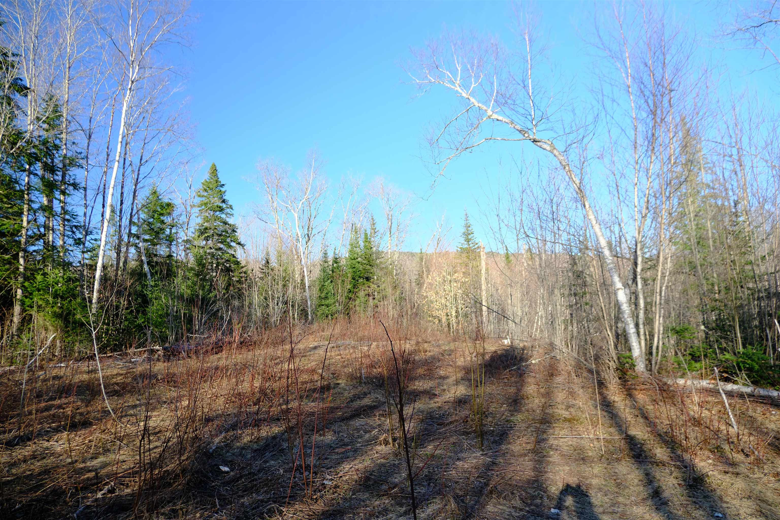 208 Drake Place Road