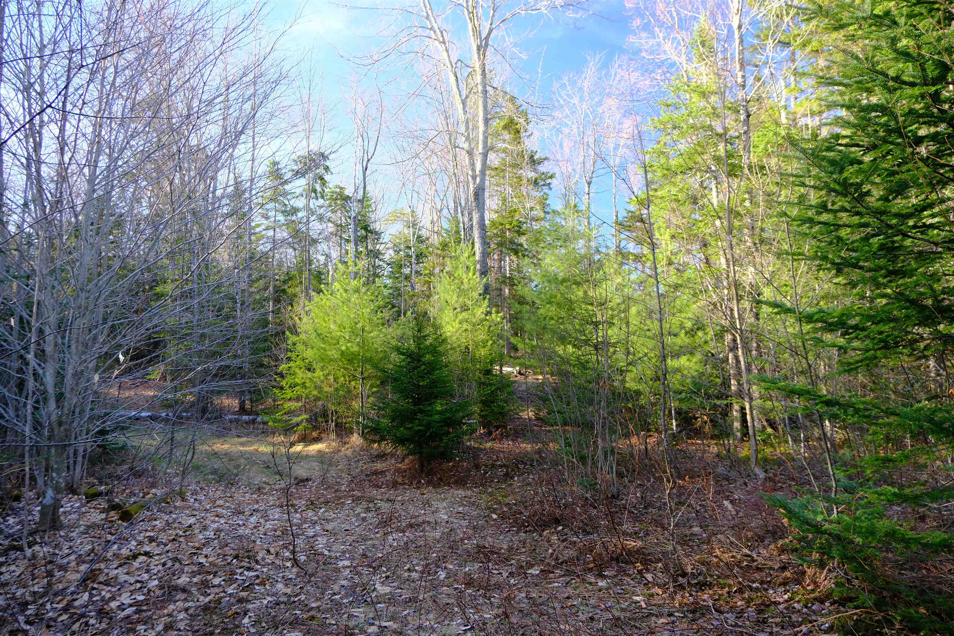 208 Drake Place Road