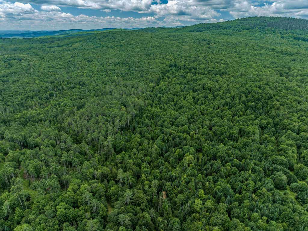 Photo of 168 Old Walker Hill Road, Littleton, NH 03561 (MLS # 5103636)
