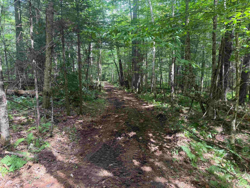 Photo of 168 Old Walker Hill Road, Littleton, NH 03561 (MLS # 5103636)