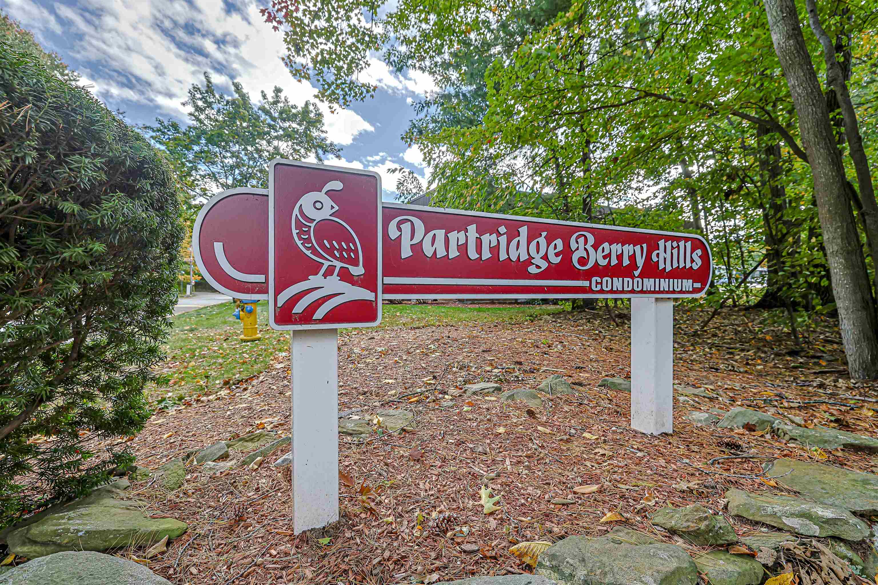 13 Strawberry Bank Road 10